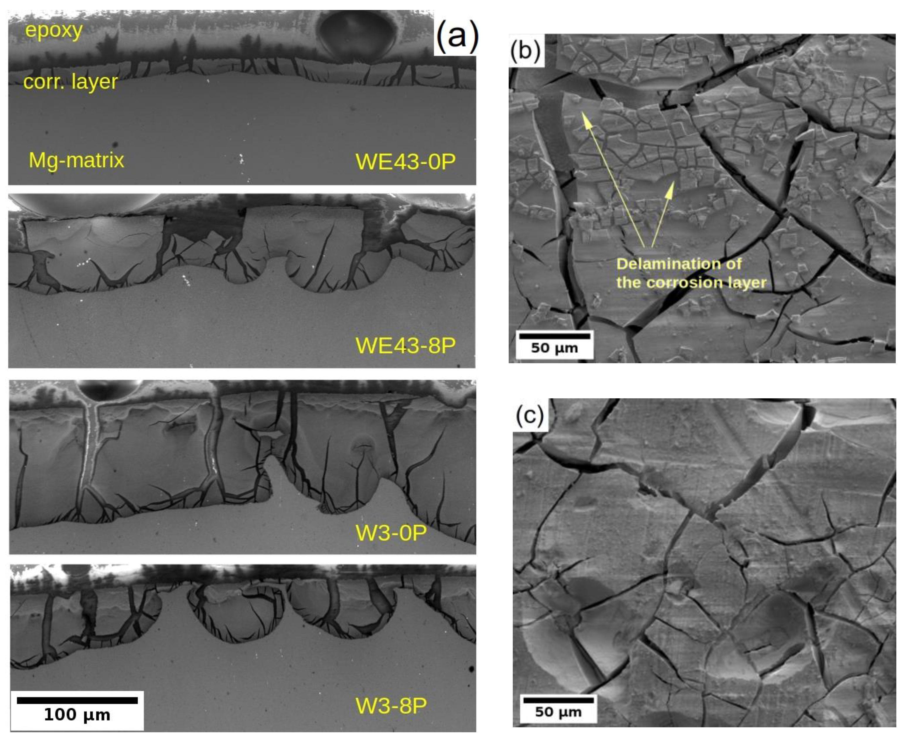 Materials 15 07571 g007