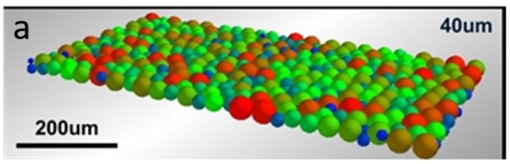 Materials 15 07585 g002a Materials 15 07585 g002a