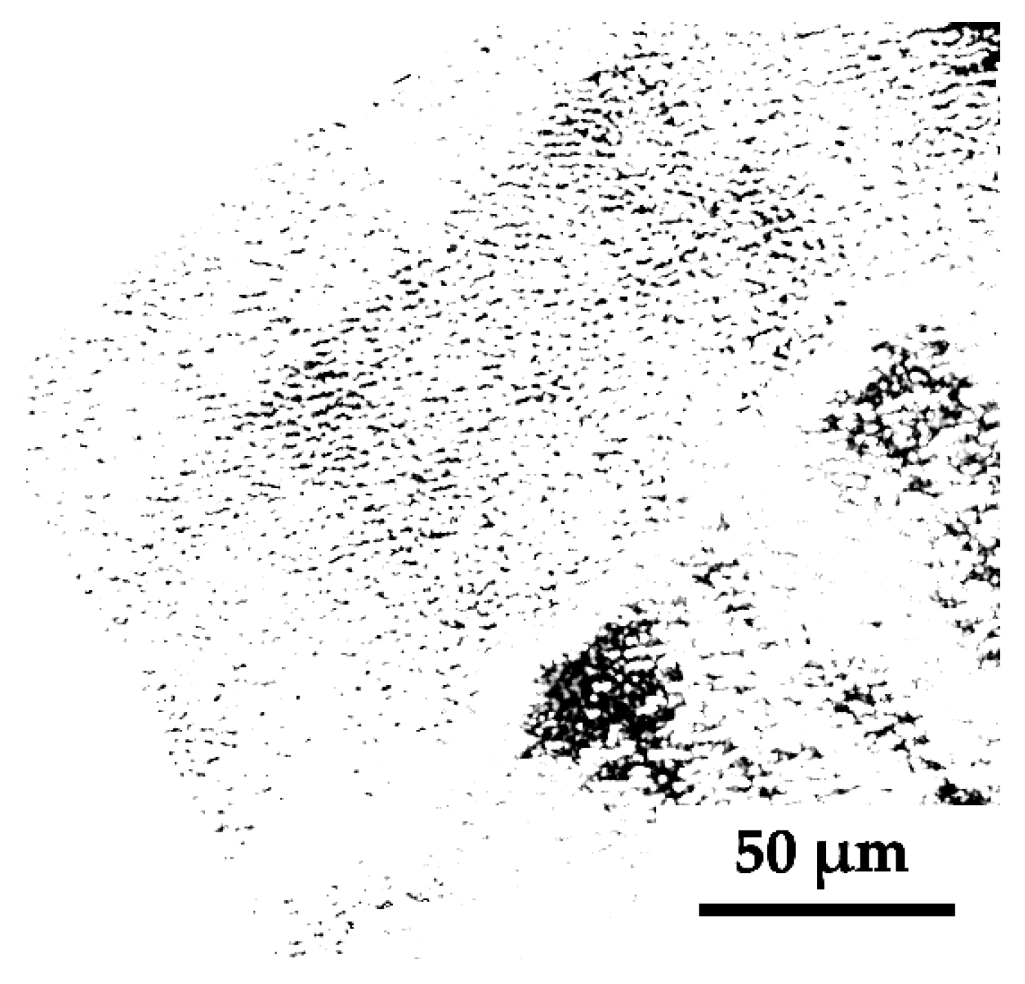Materials 15 07612 g003
