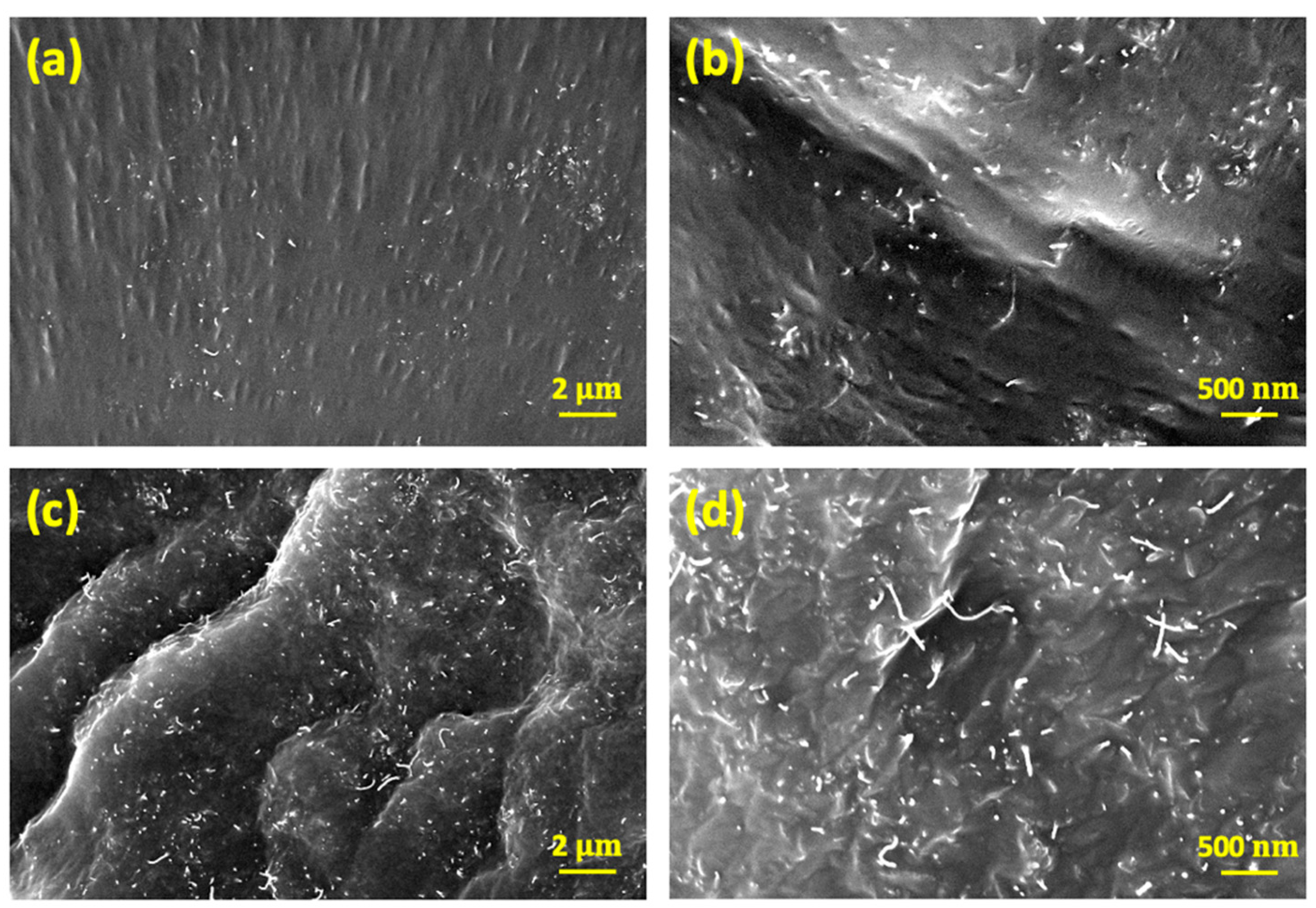 Materials 15 07637 g001