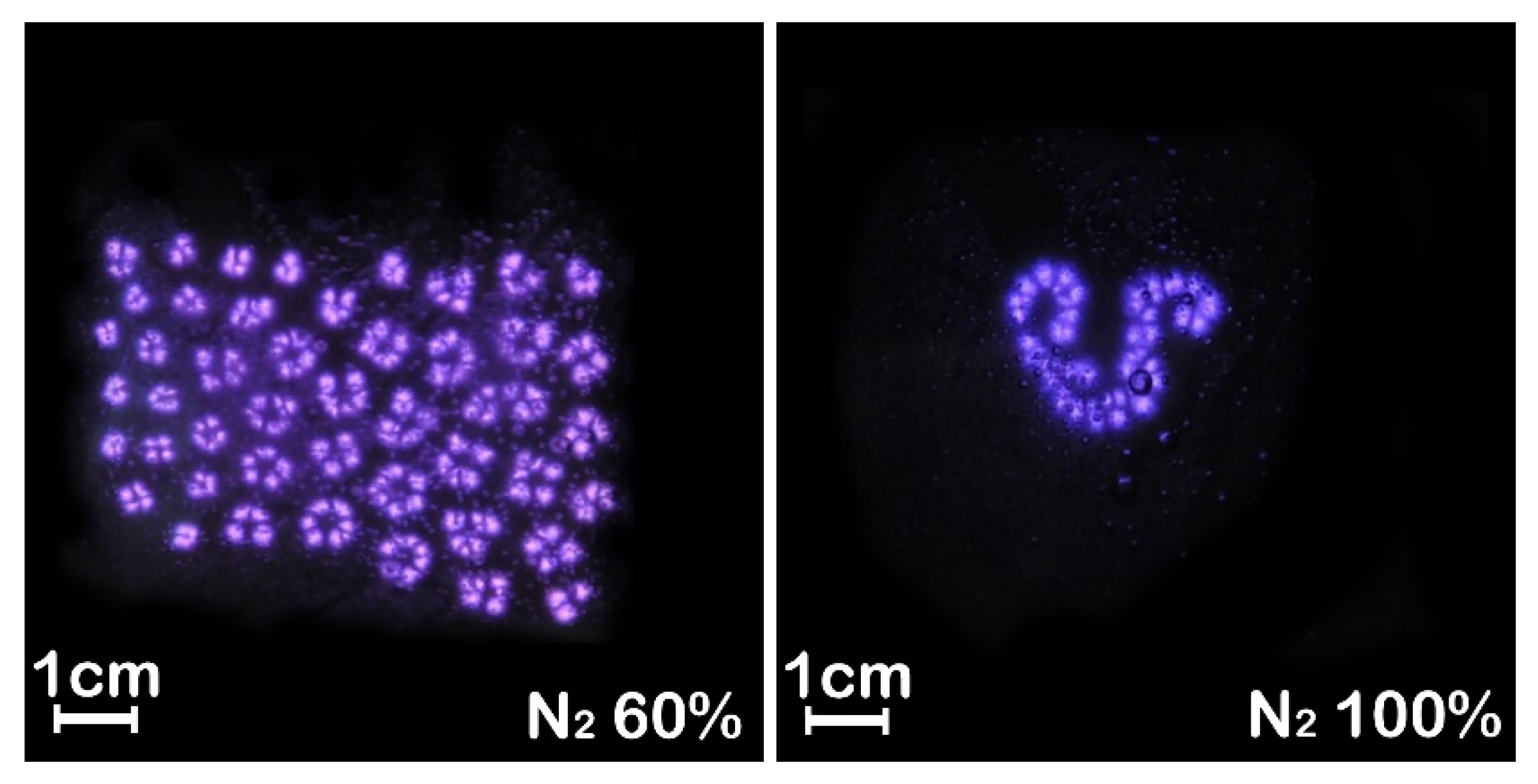 Materials 15 07647 g006