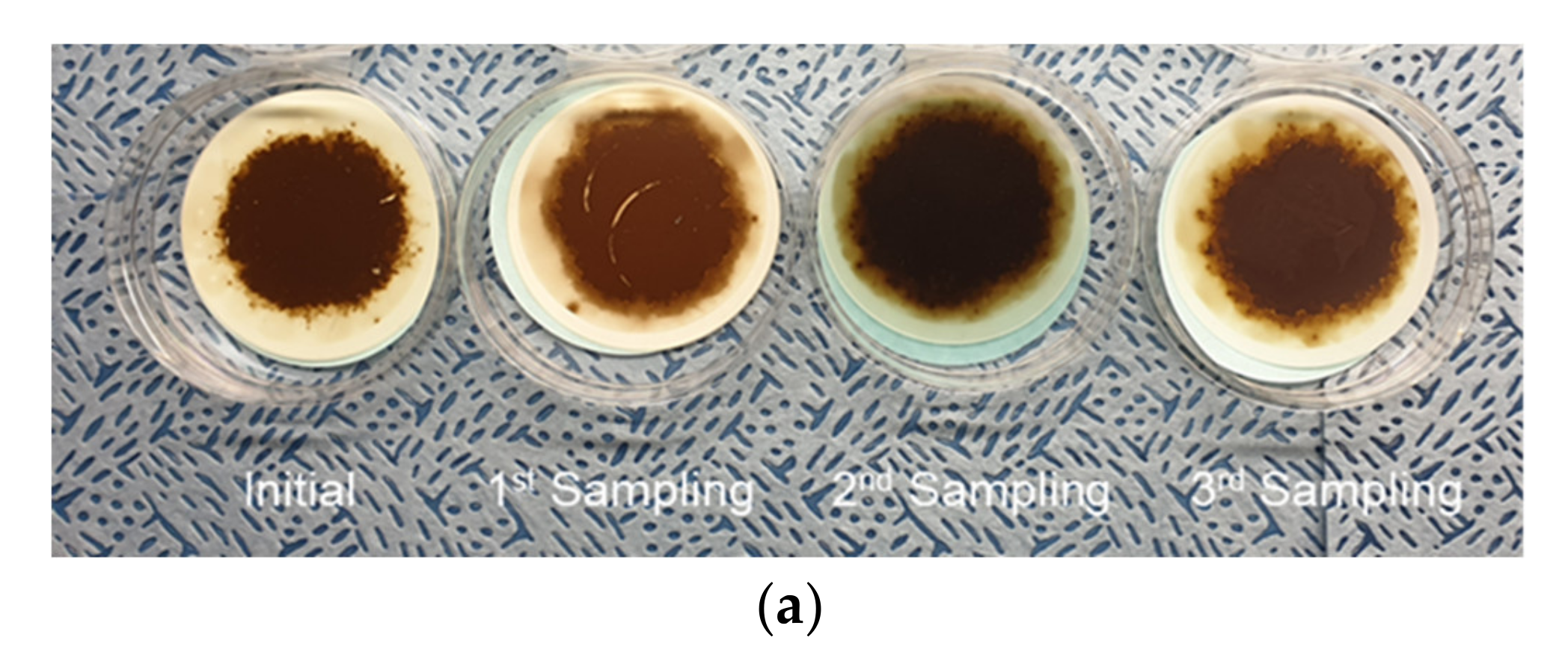 Materials 15 07657 g014a Materials 15 07657 g014a