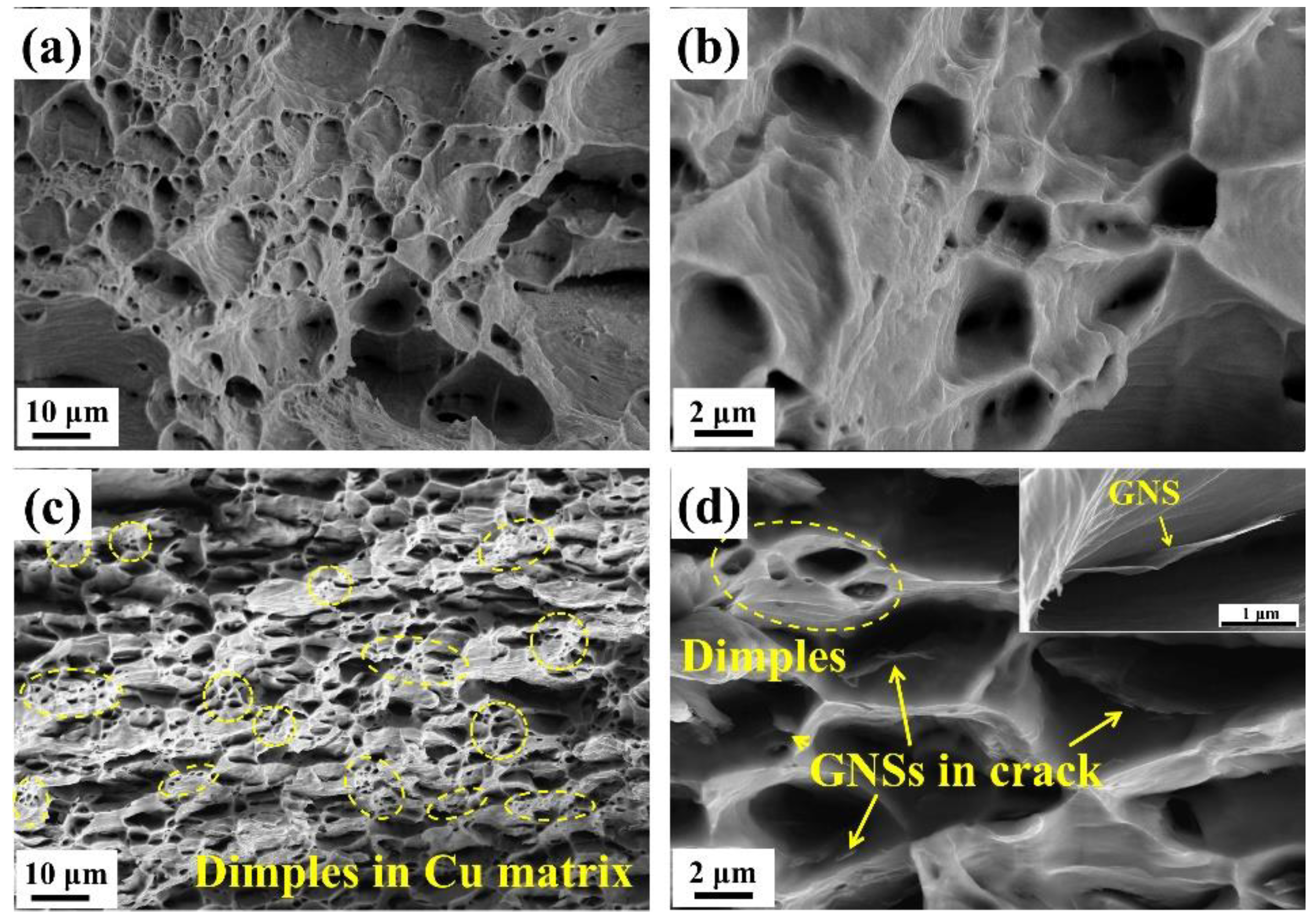 Materials 15 07677 g005