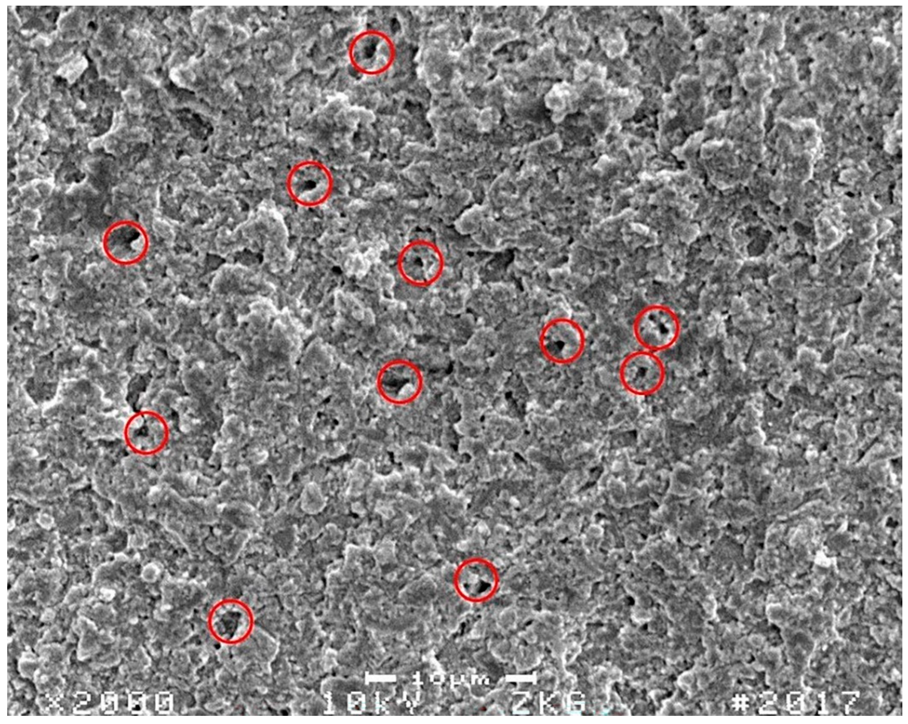 Materials 15 07698 g011