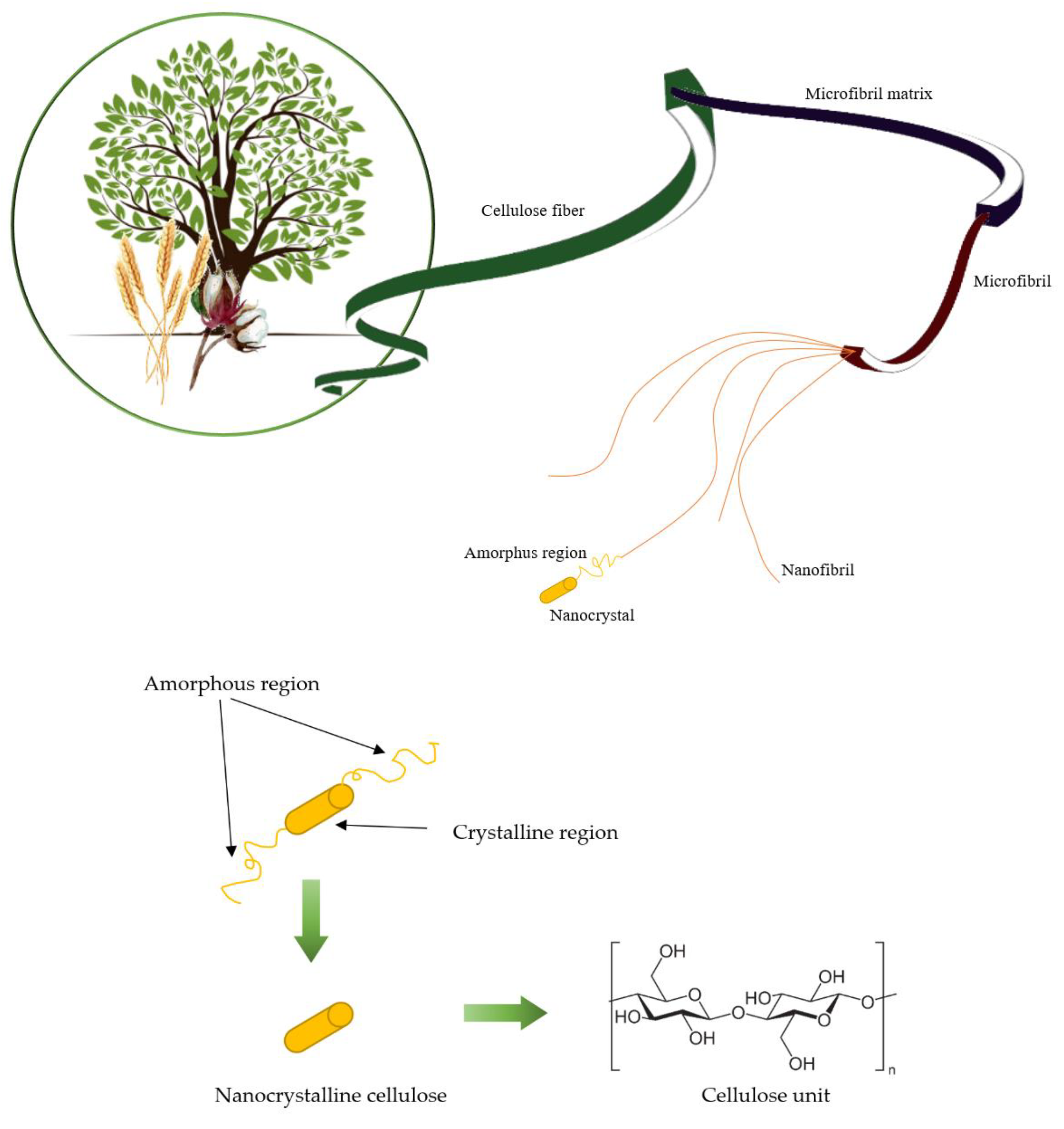 Materials 15 07706 g001
