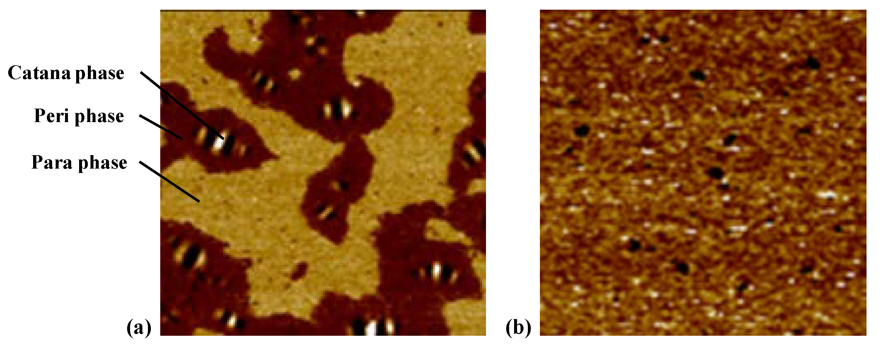 Materials 15 07709 g008