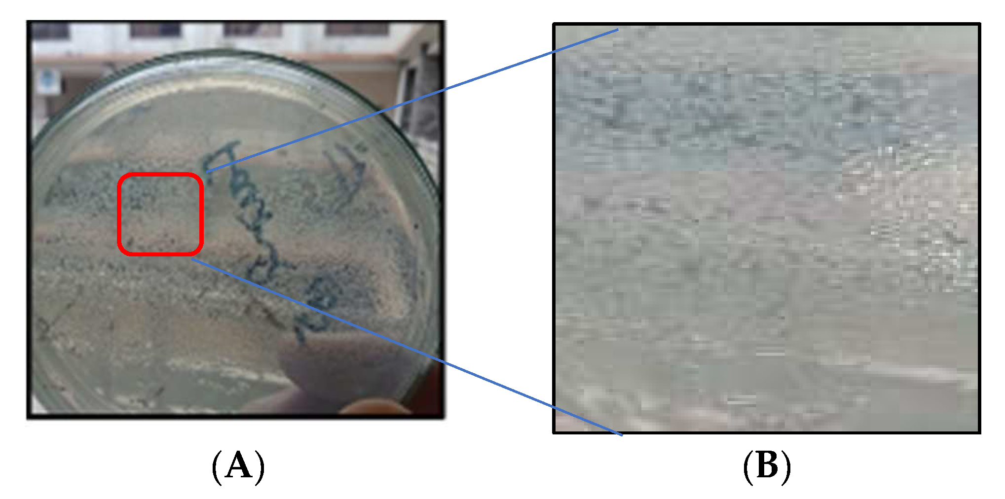 Materials 15 07731 g003