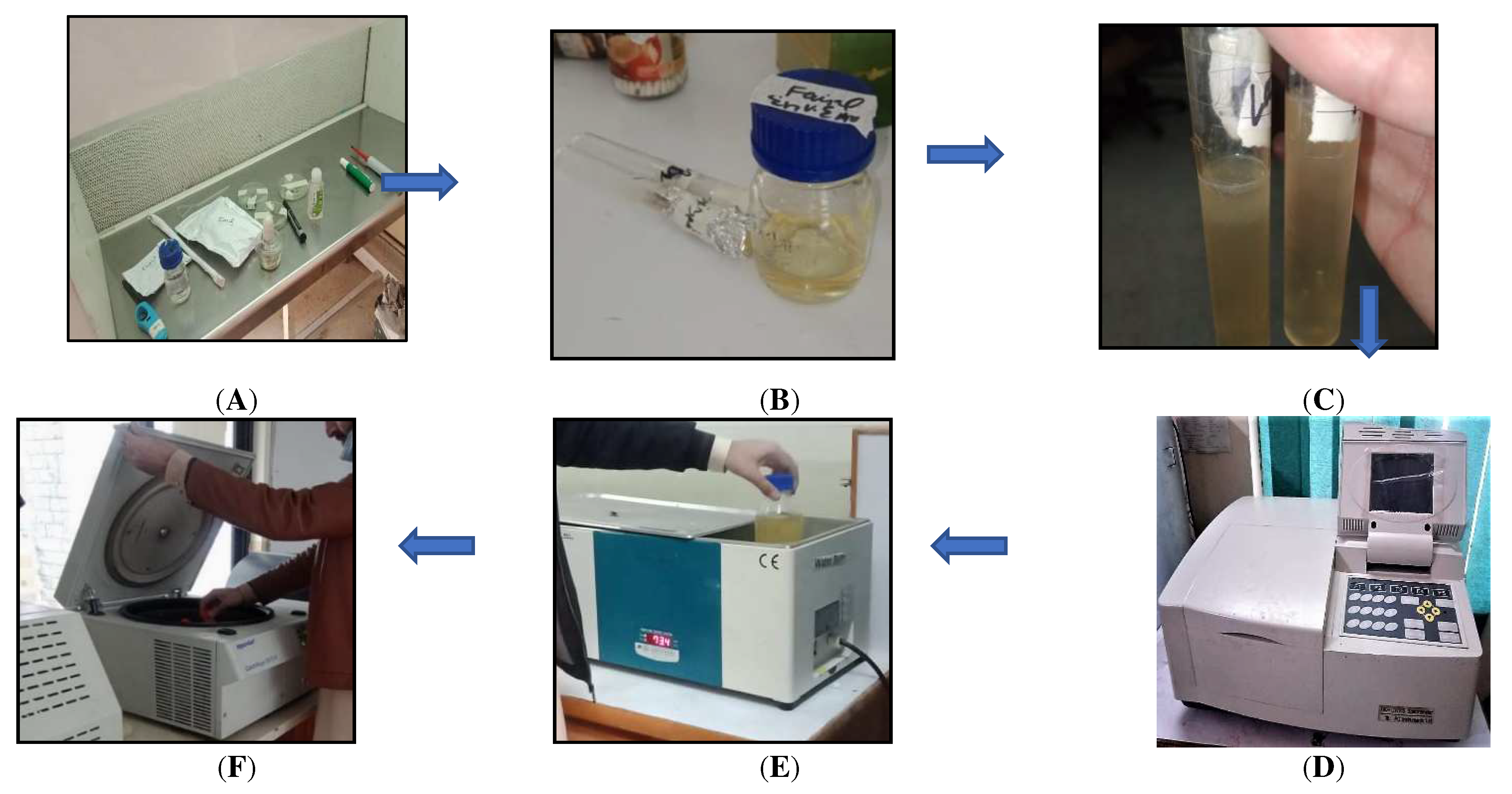 Materials 15 07731 g004