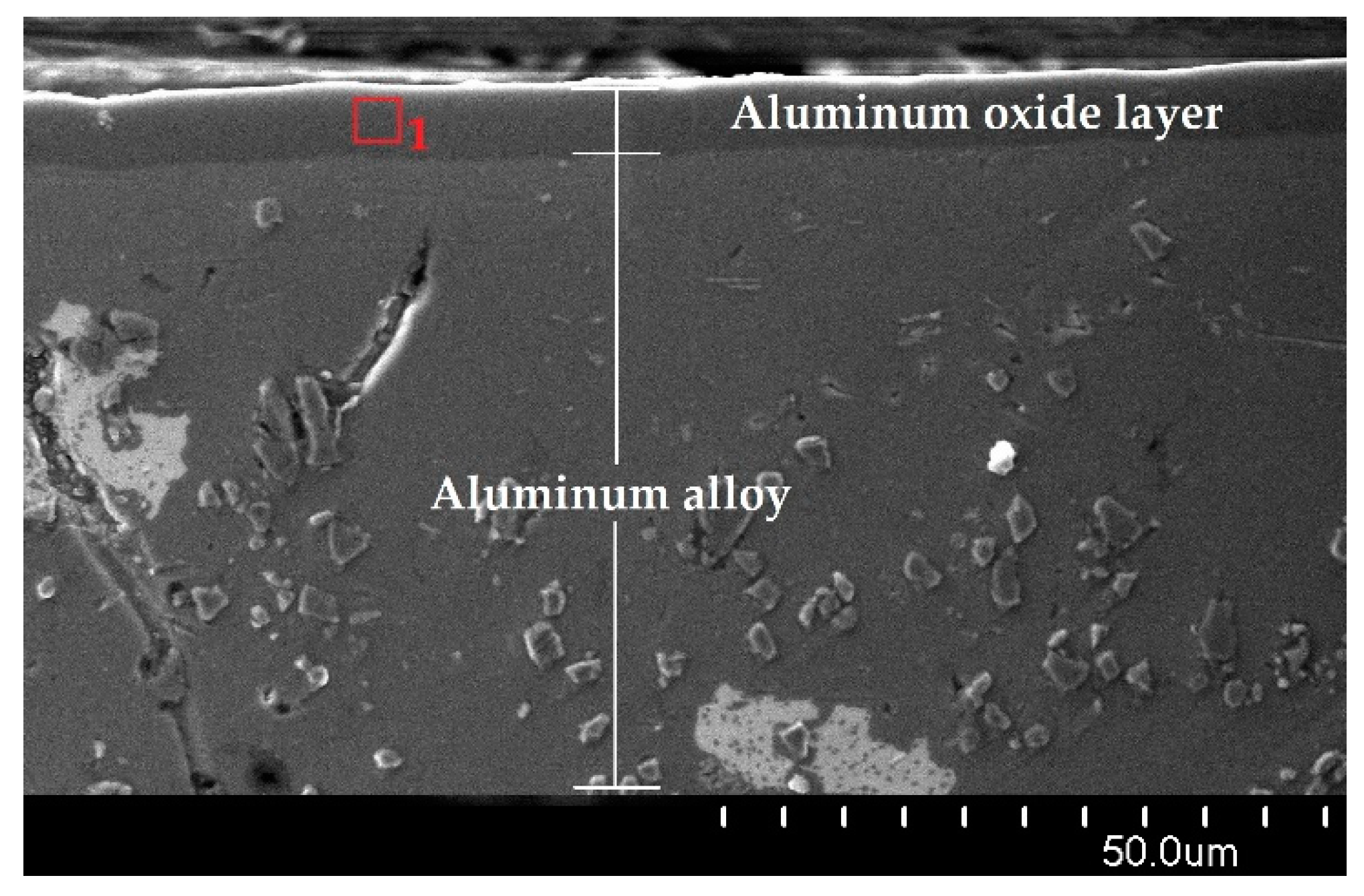 Materials 15 07732 g005