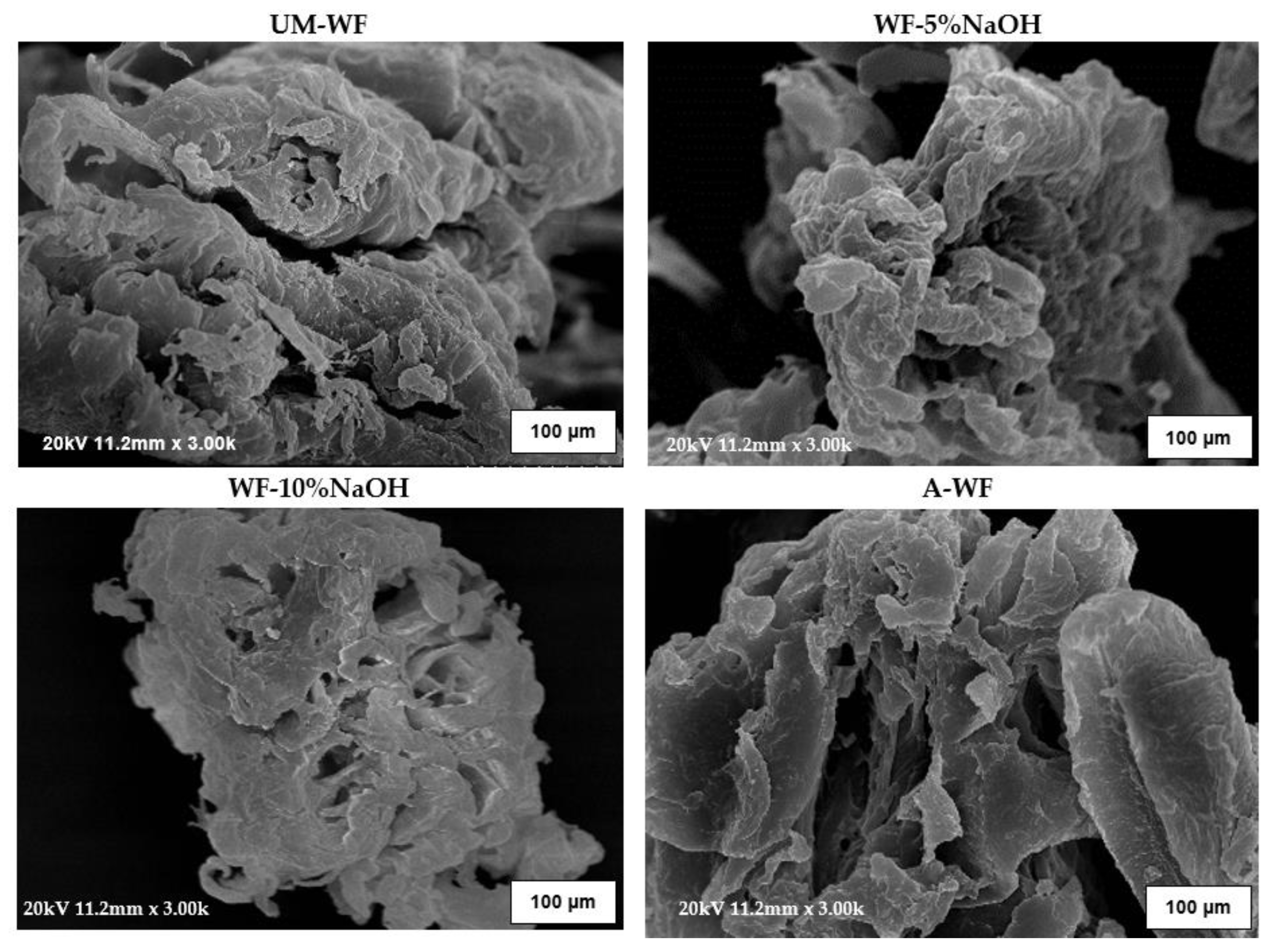 Materials 15 07737 g004