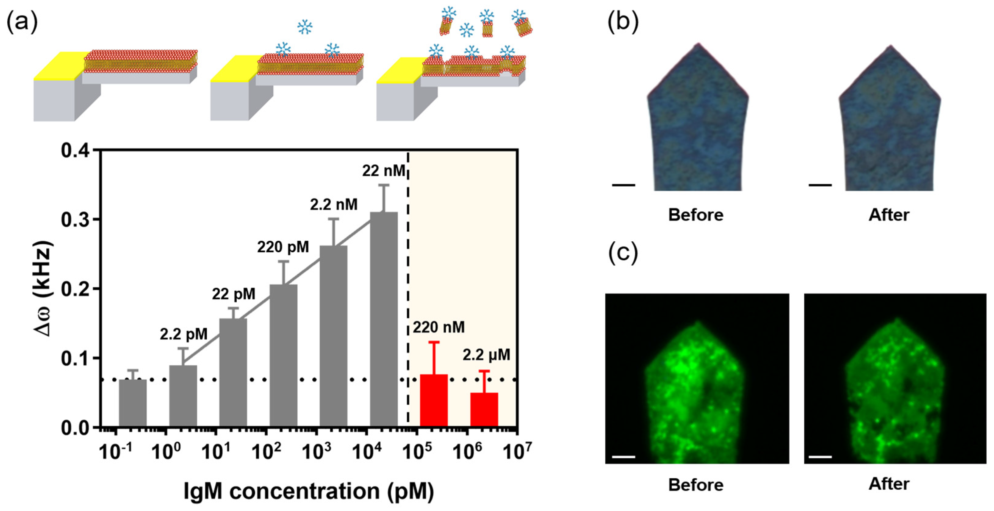 Materials 15 07738 g006