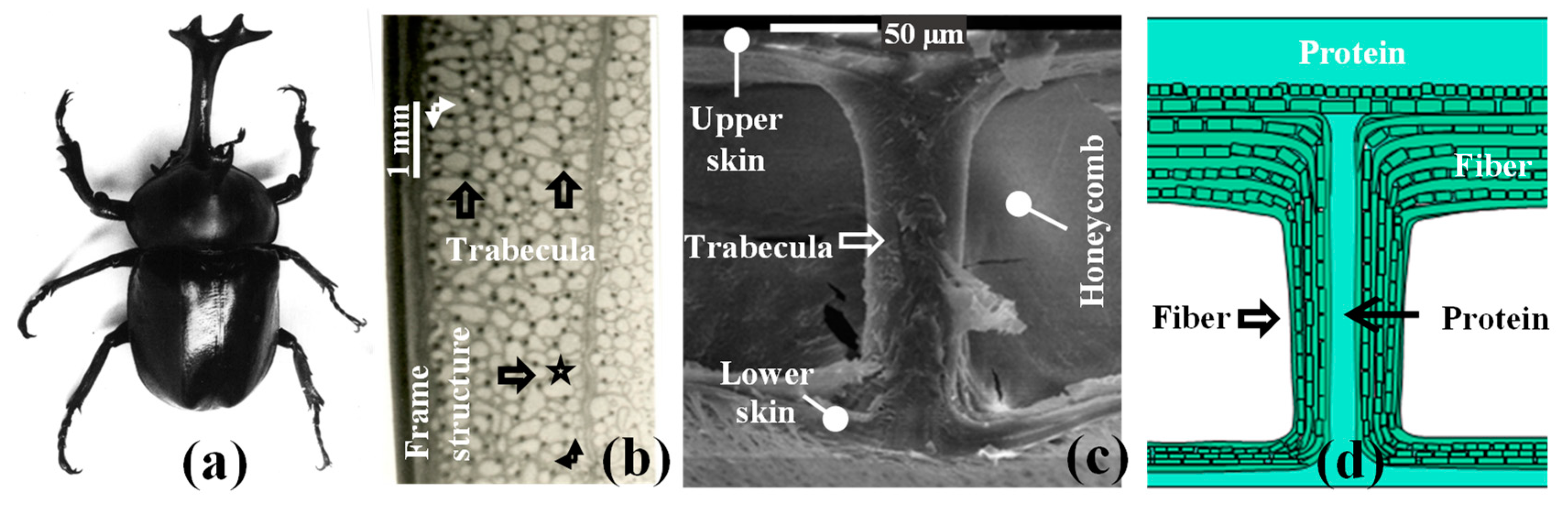 Materials 15 07748 g001