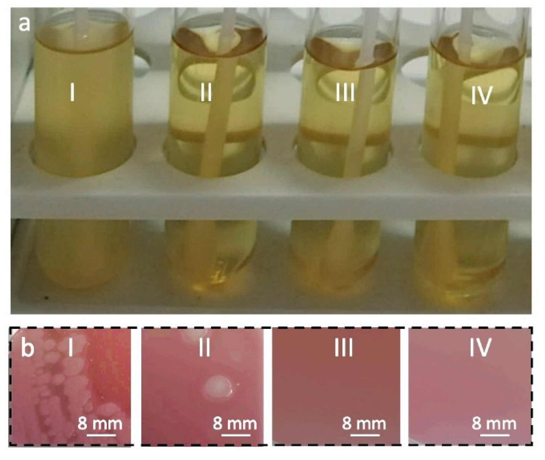 Materials 15 07749 g001