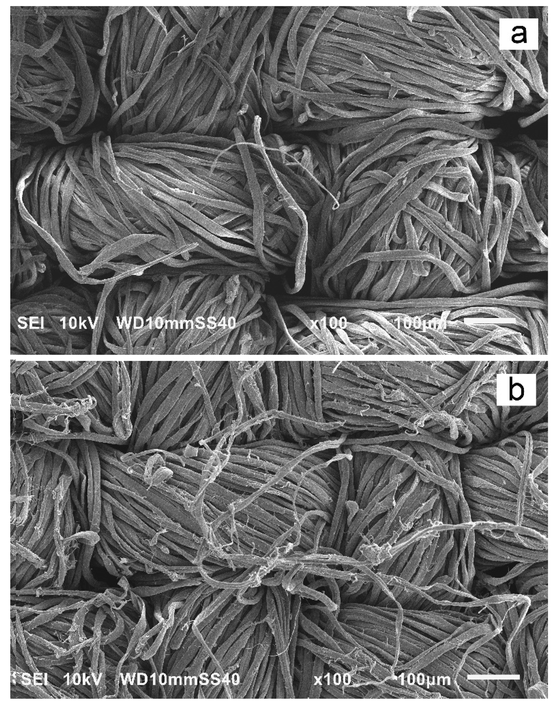 Materials 15 07749 g005