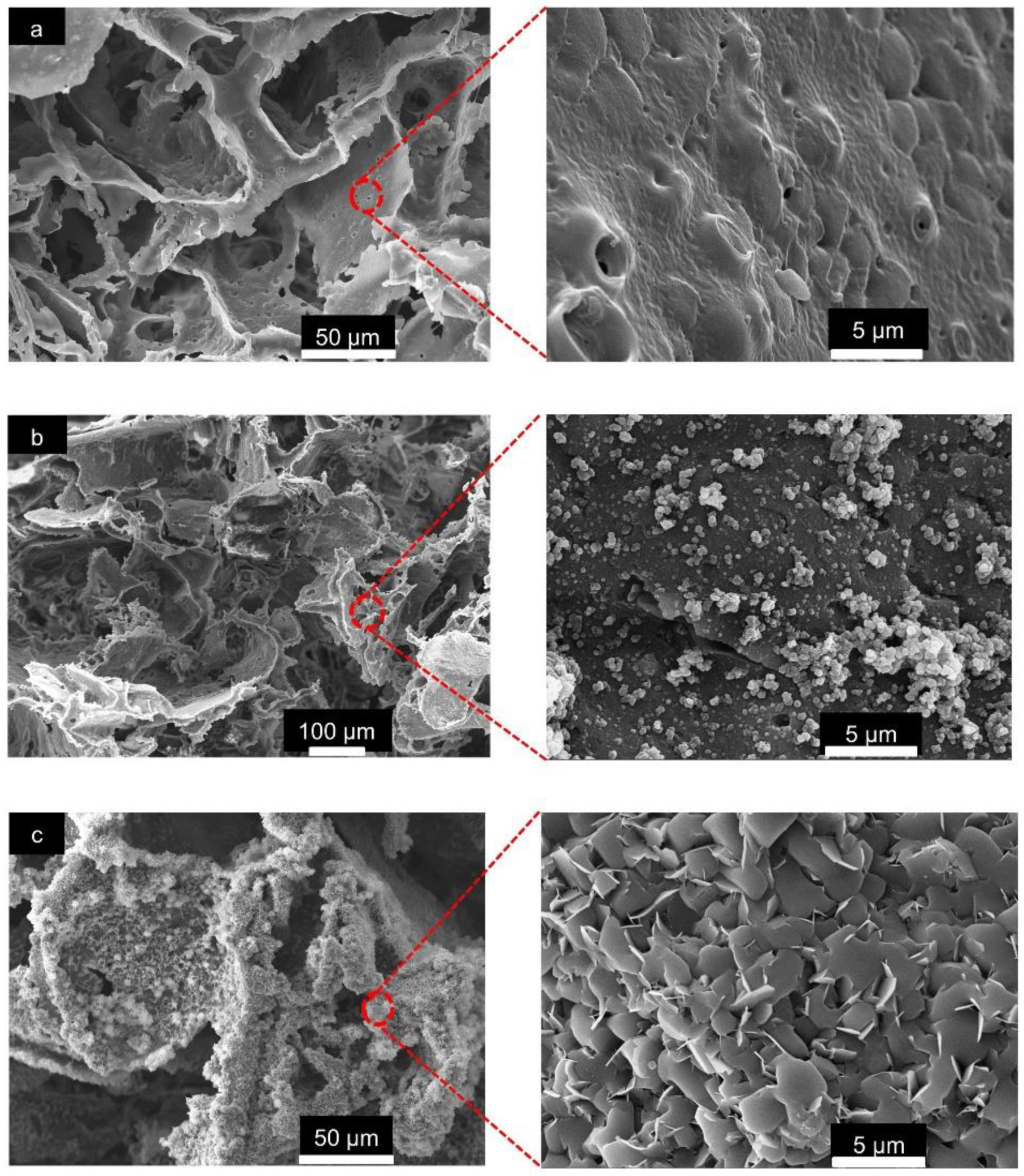 Materials 15 07756 g005