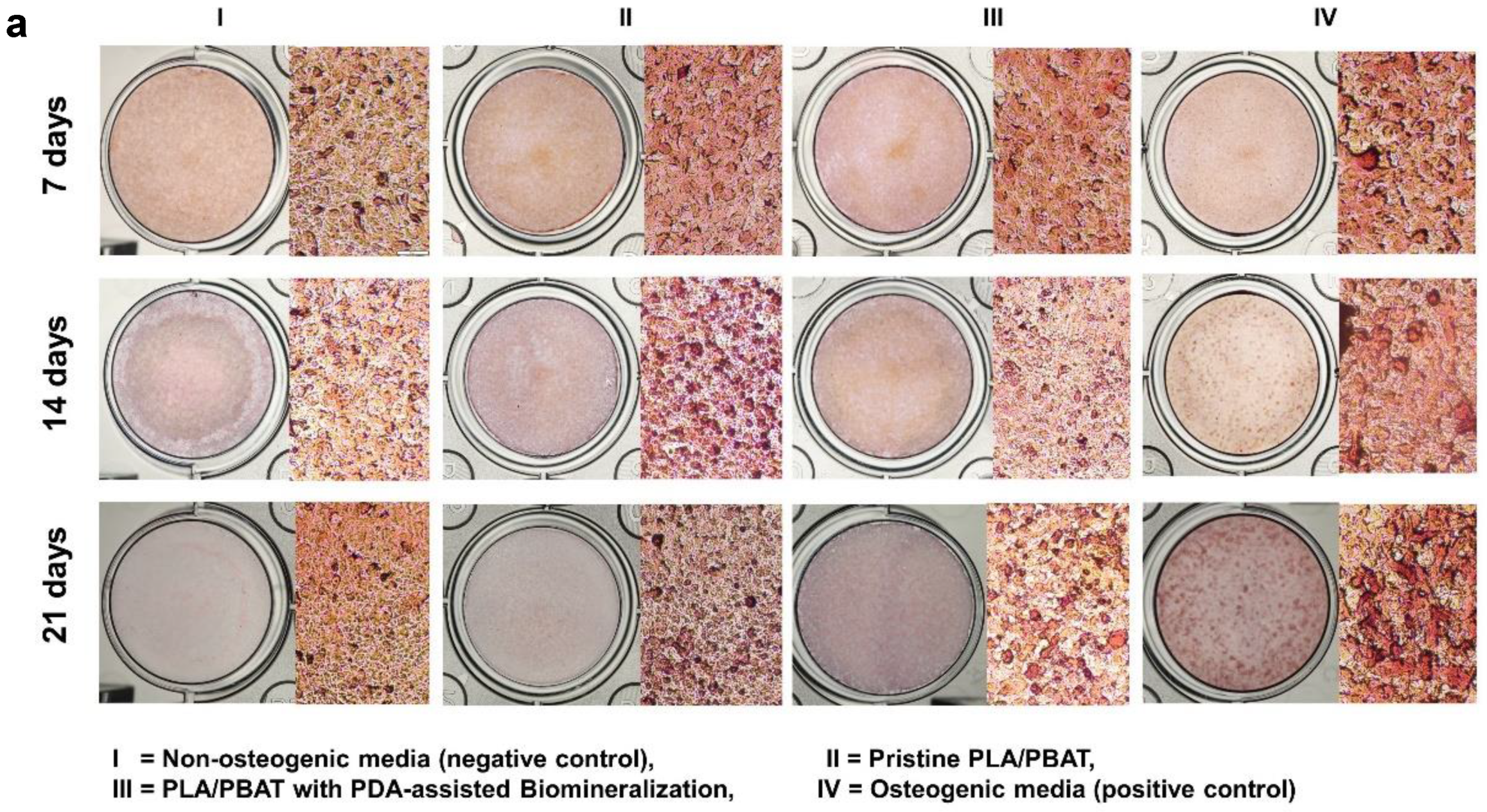 Materials 15 07756 g013a