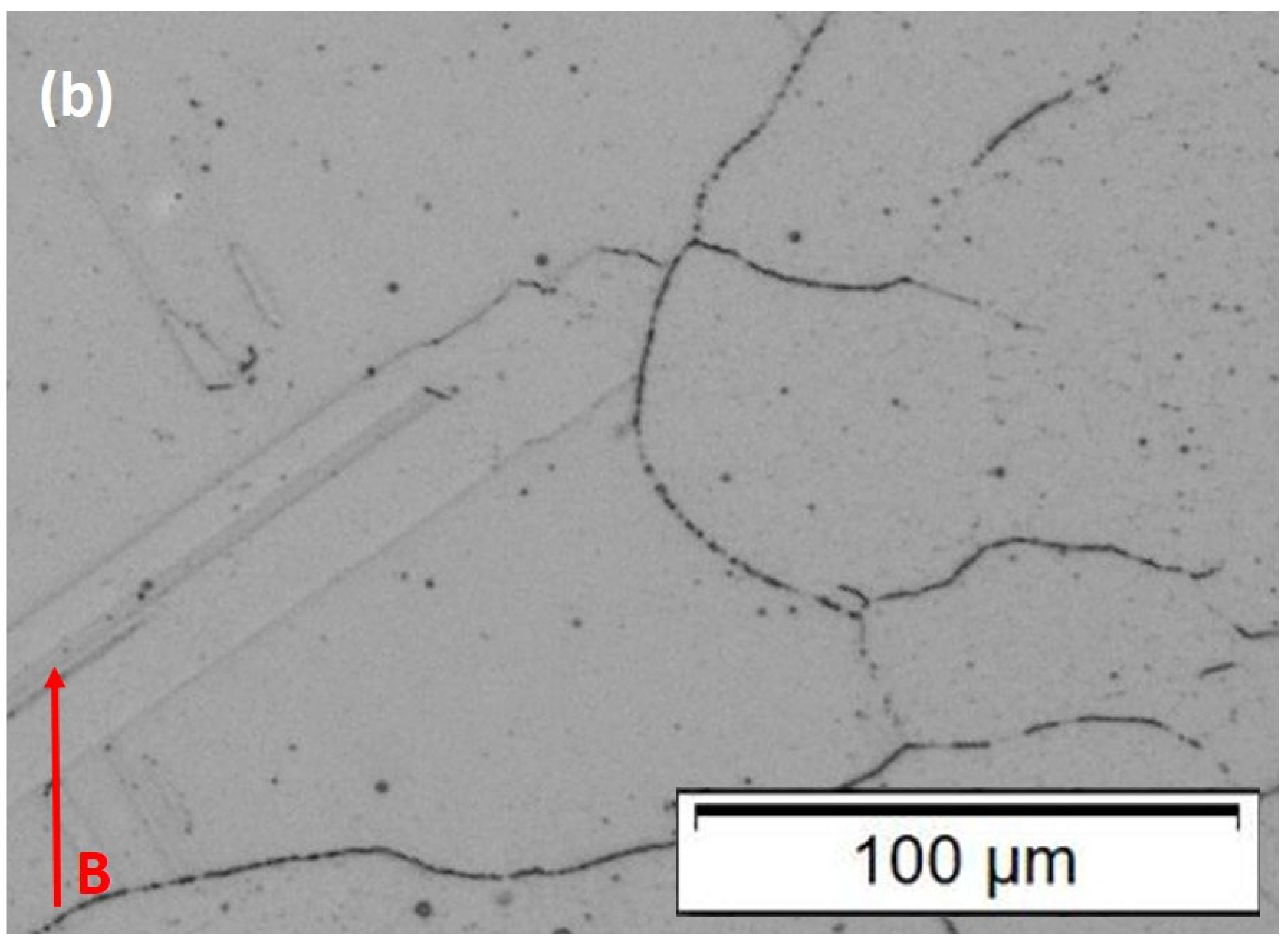 Materials 15 07767 g006b Materials 15 07767 g006b