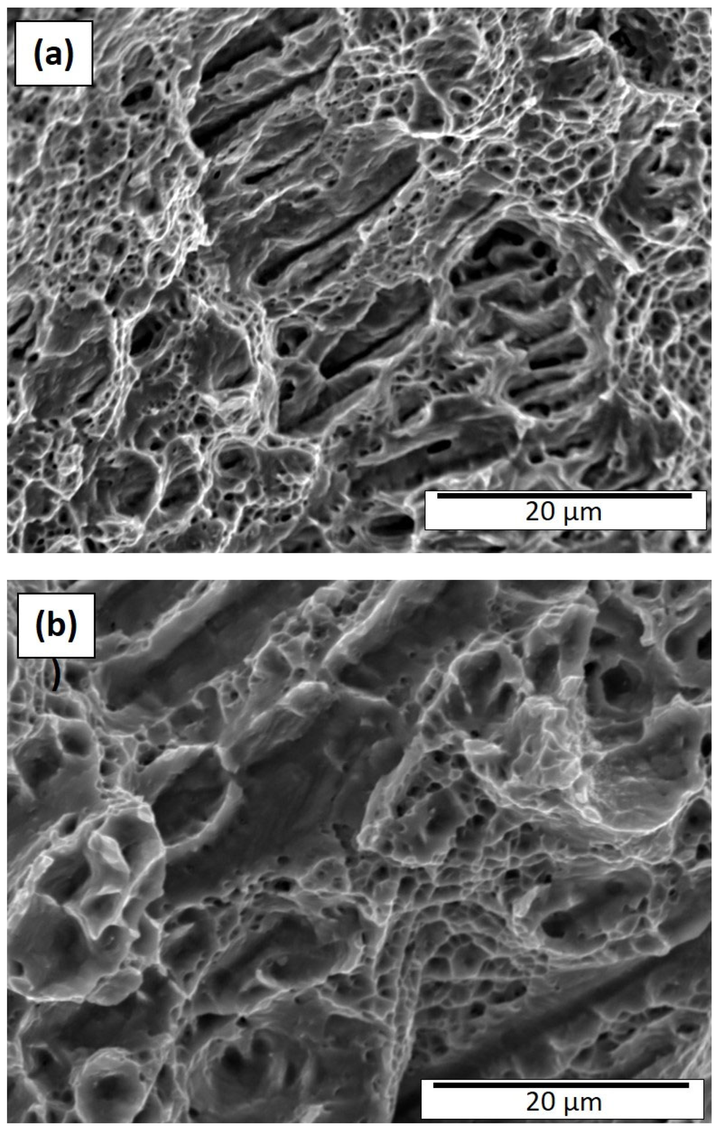 Materials 15 07767 g007 Materials 15 07767 g007