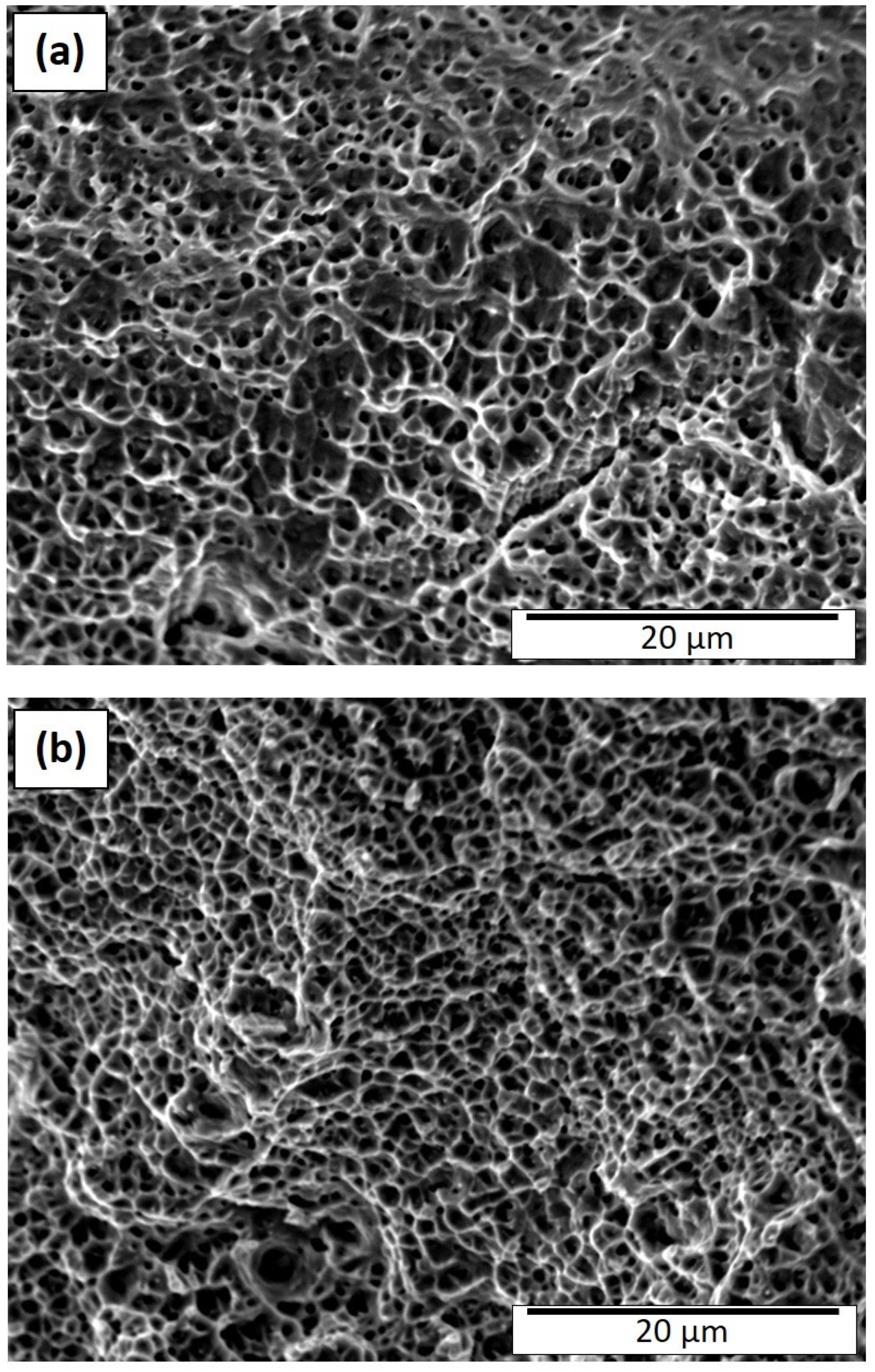 Materials 15 07767 g008 Materials 15 07767 g008