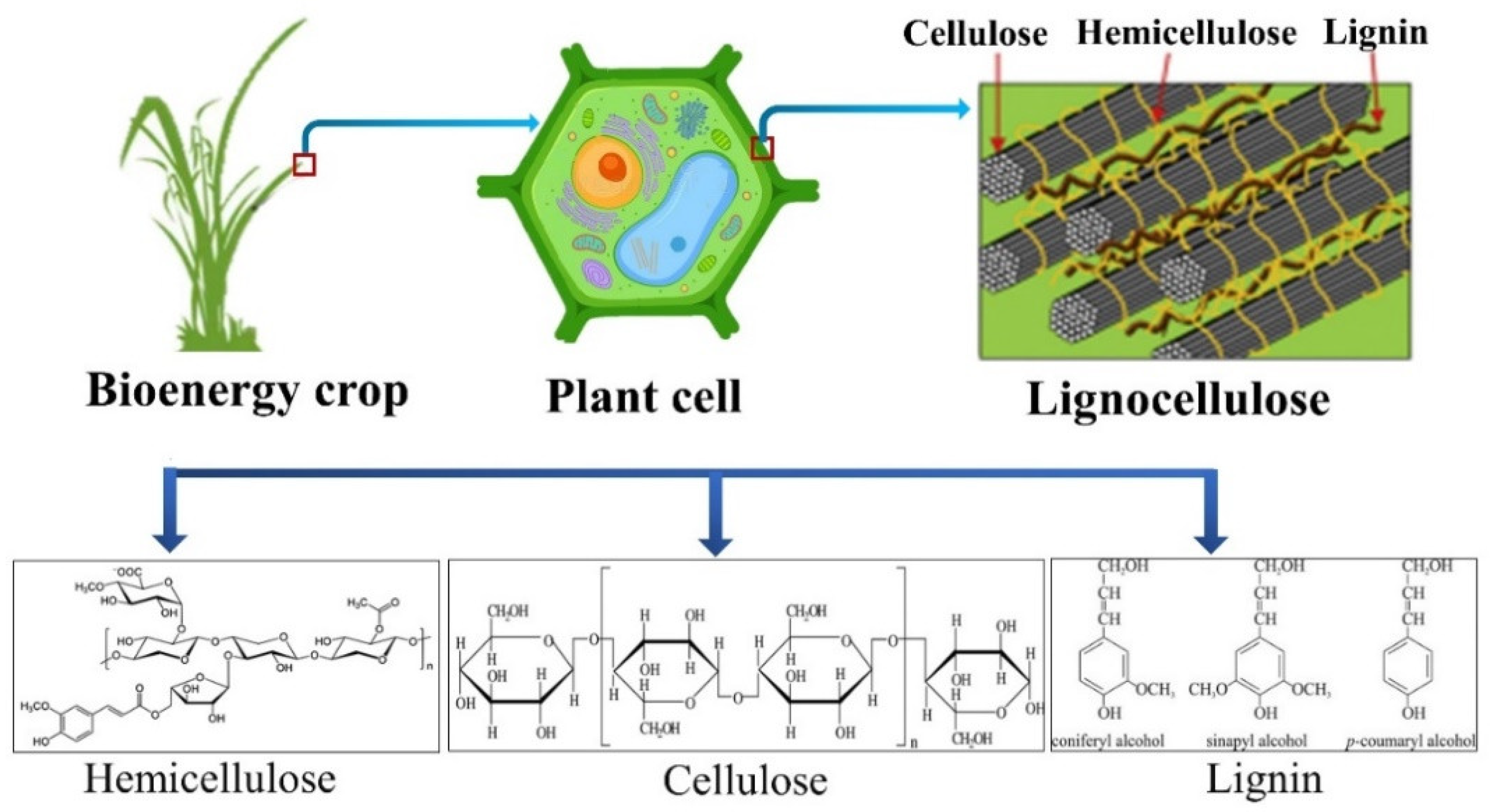 Materials 15 07769 g001 Materials 15 07769 g001