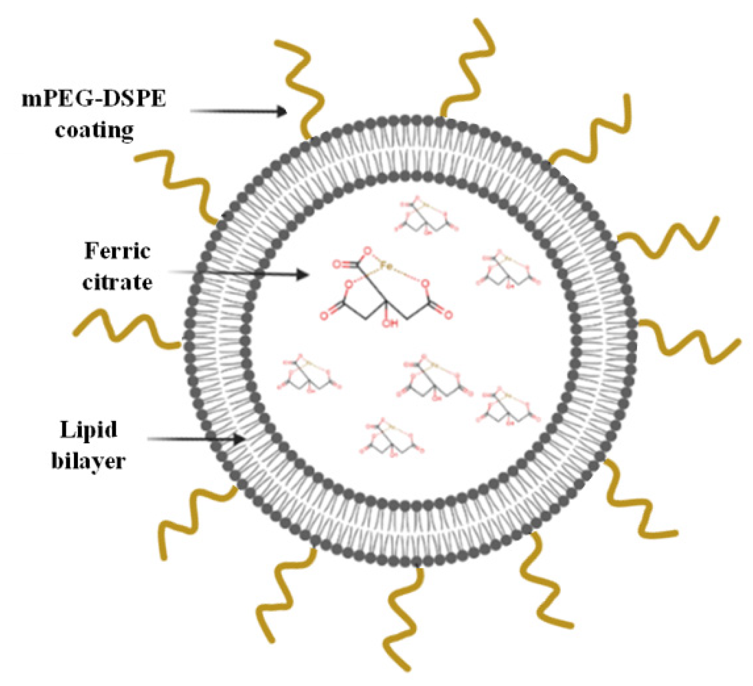 Materials 15 07779 g001