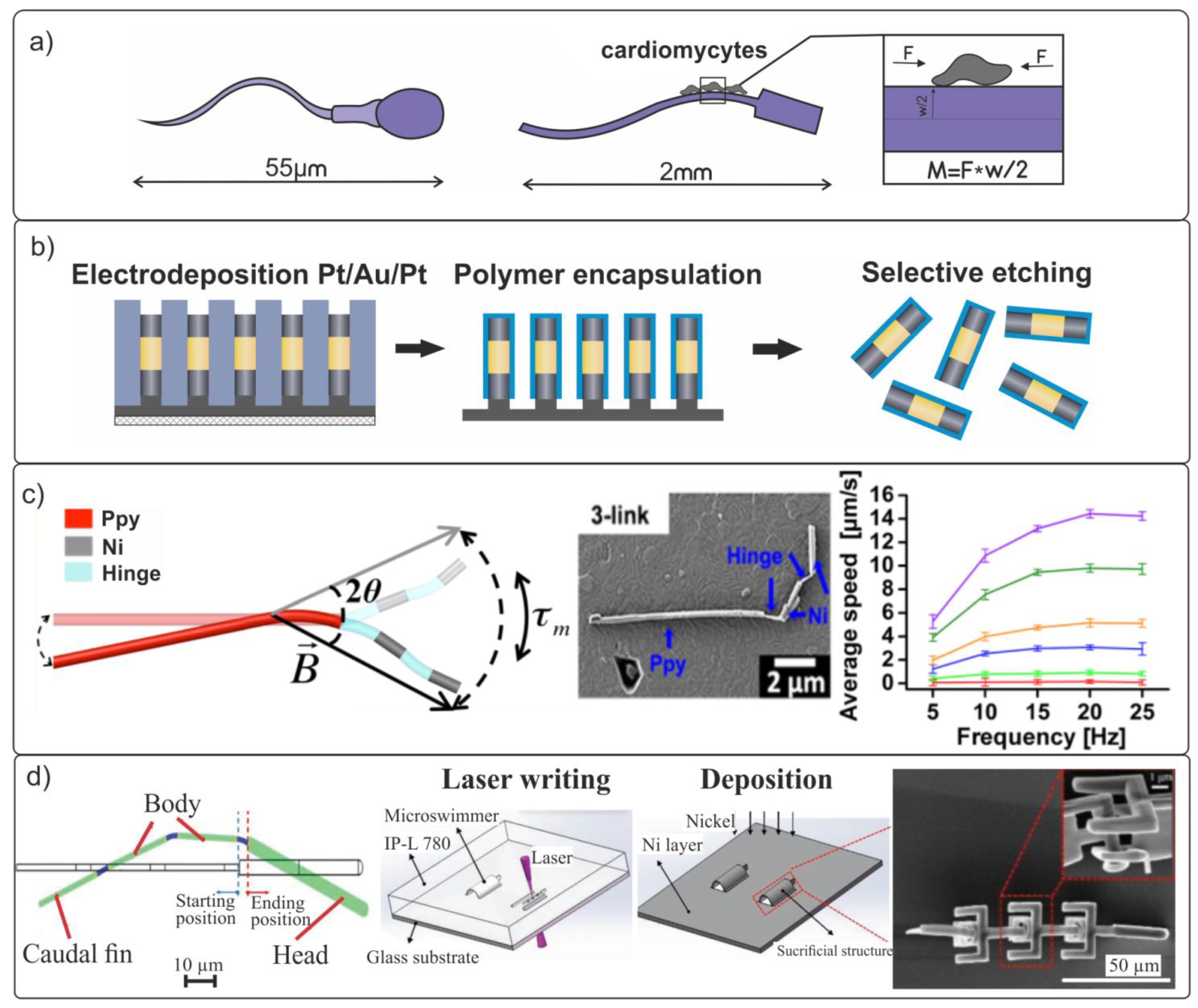 Materials 15 07781 g002