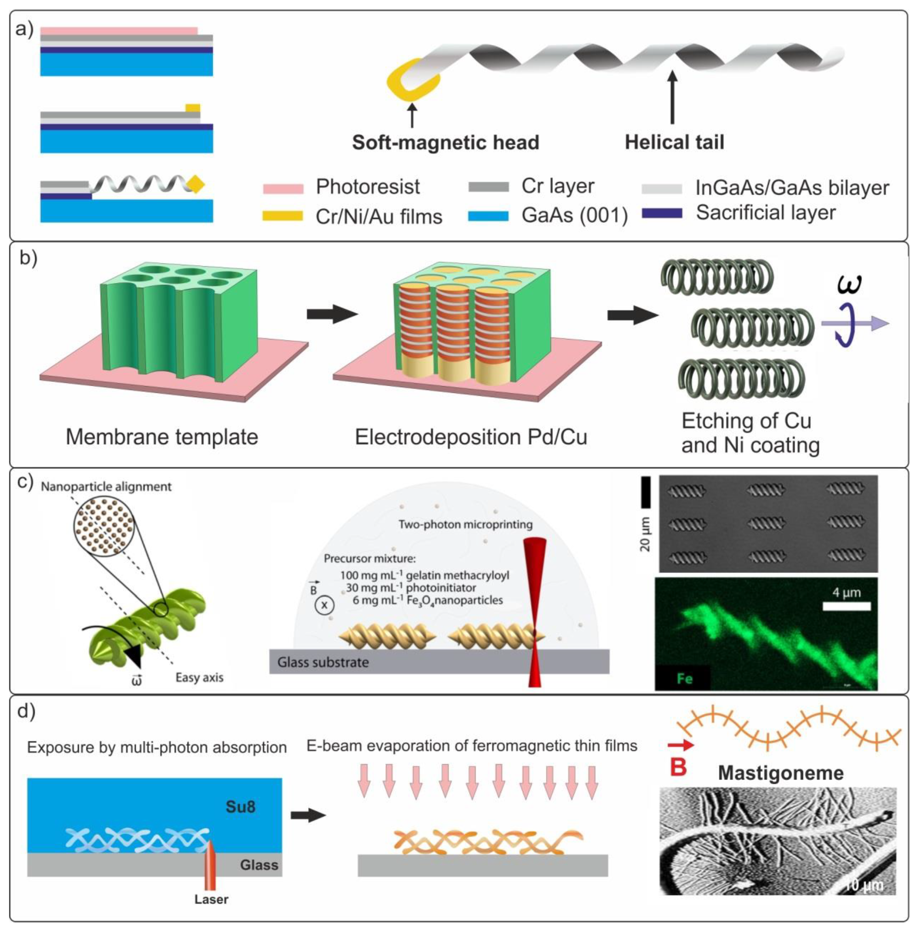 Materials 15 07781 g008