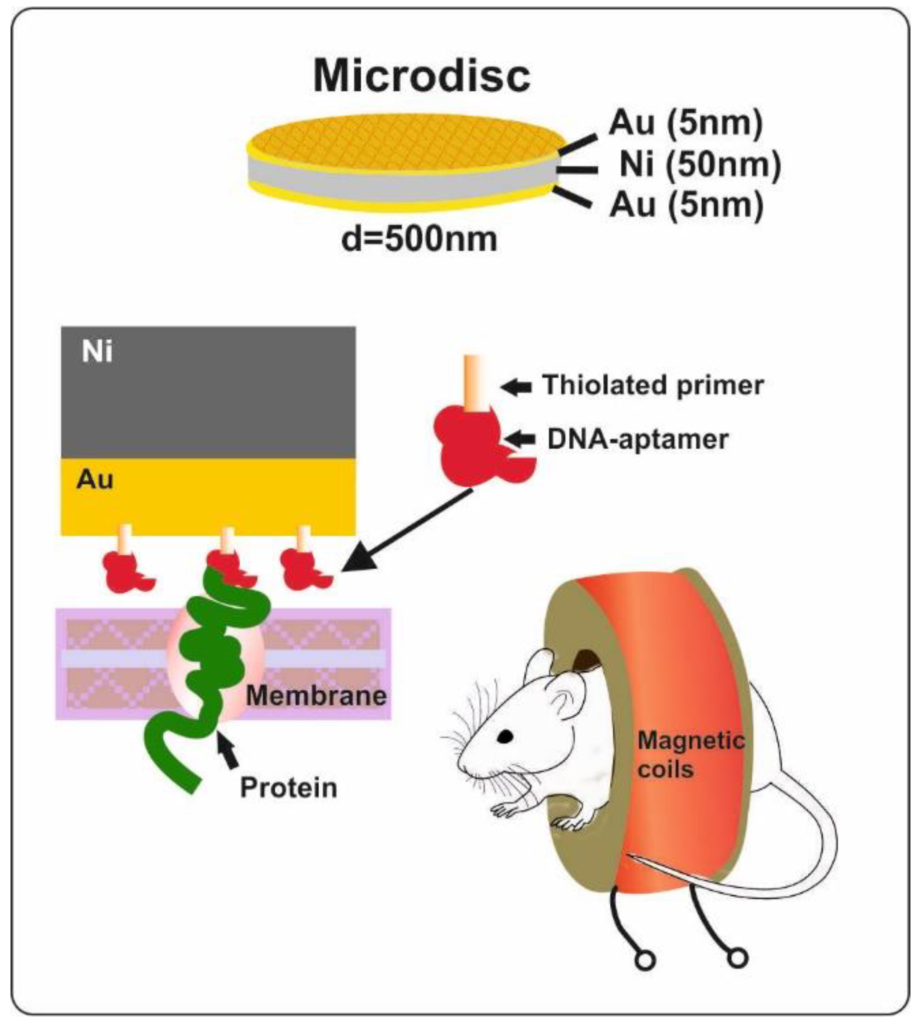 Materials 15 07781 g012