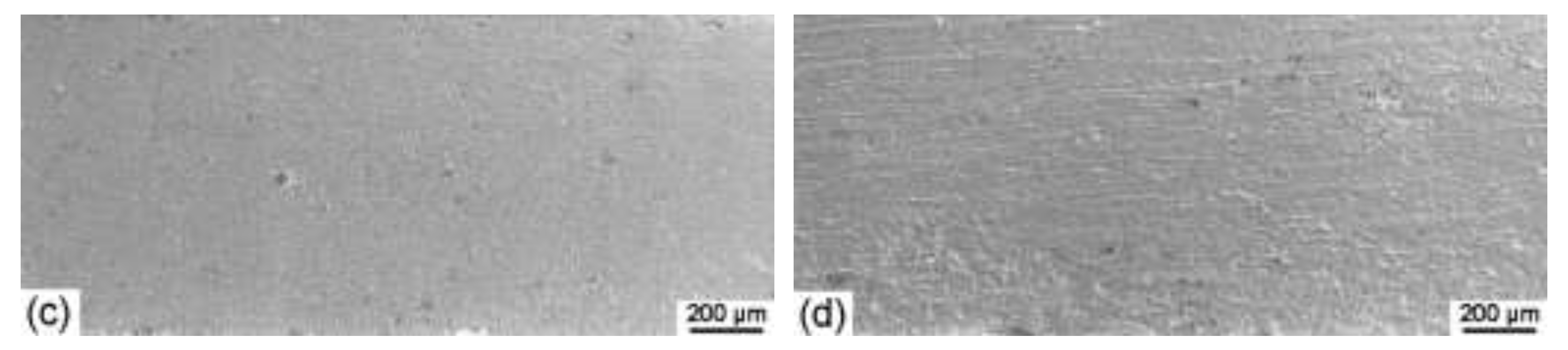 Materials 15 07806 g003b