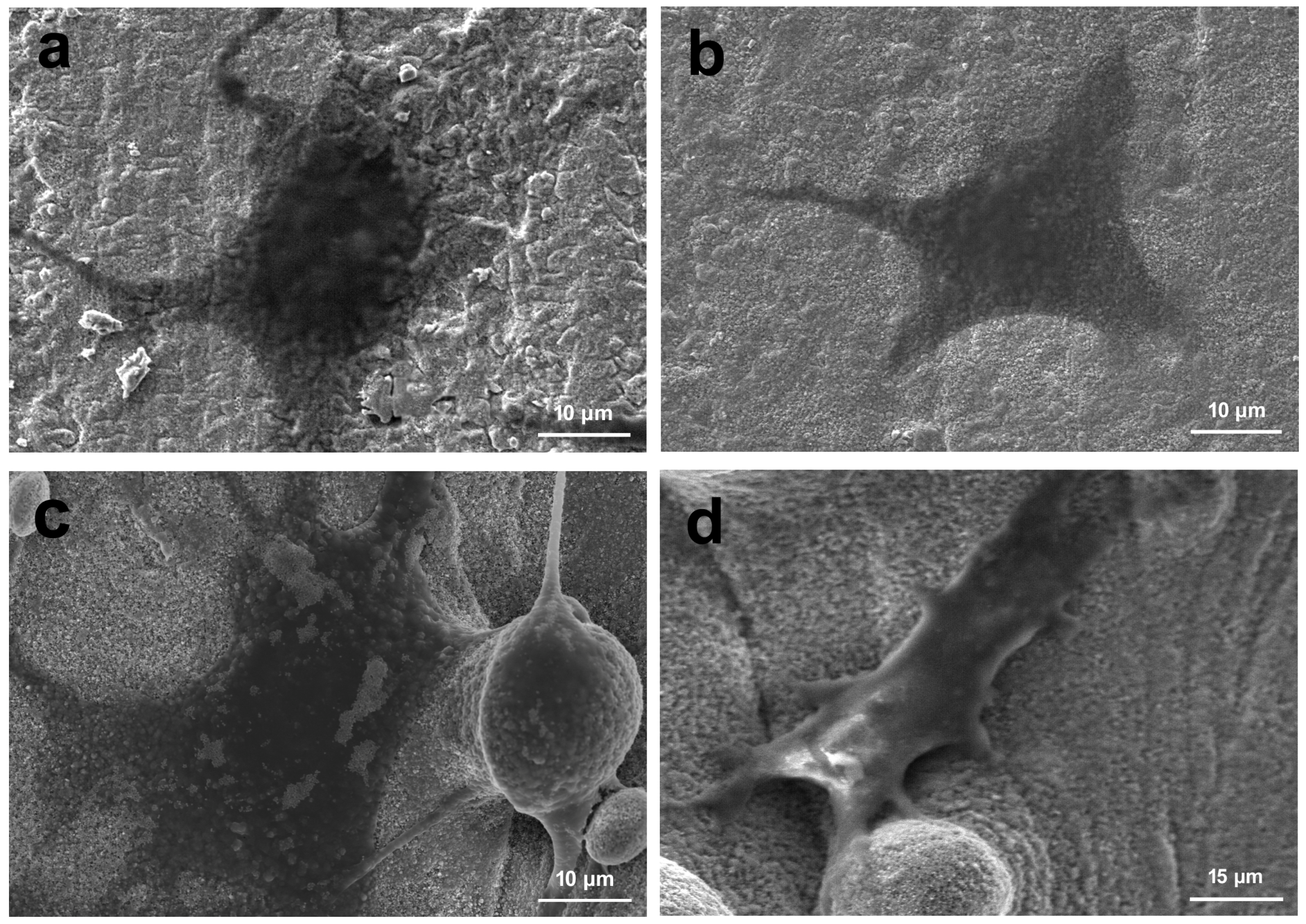 Materials 15 07811 g008 Materials 15 07811 g008