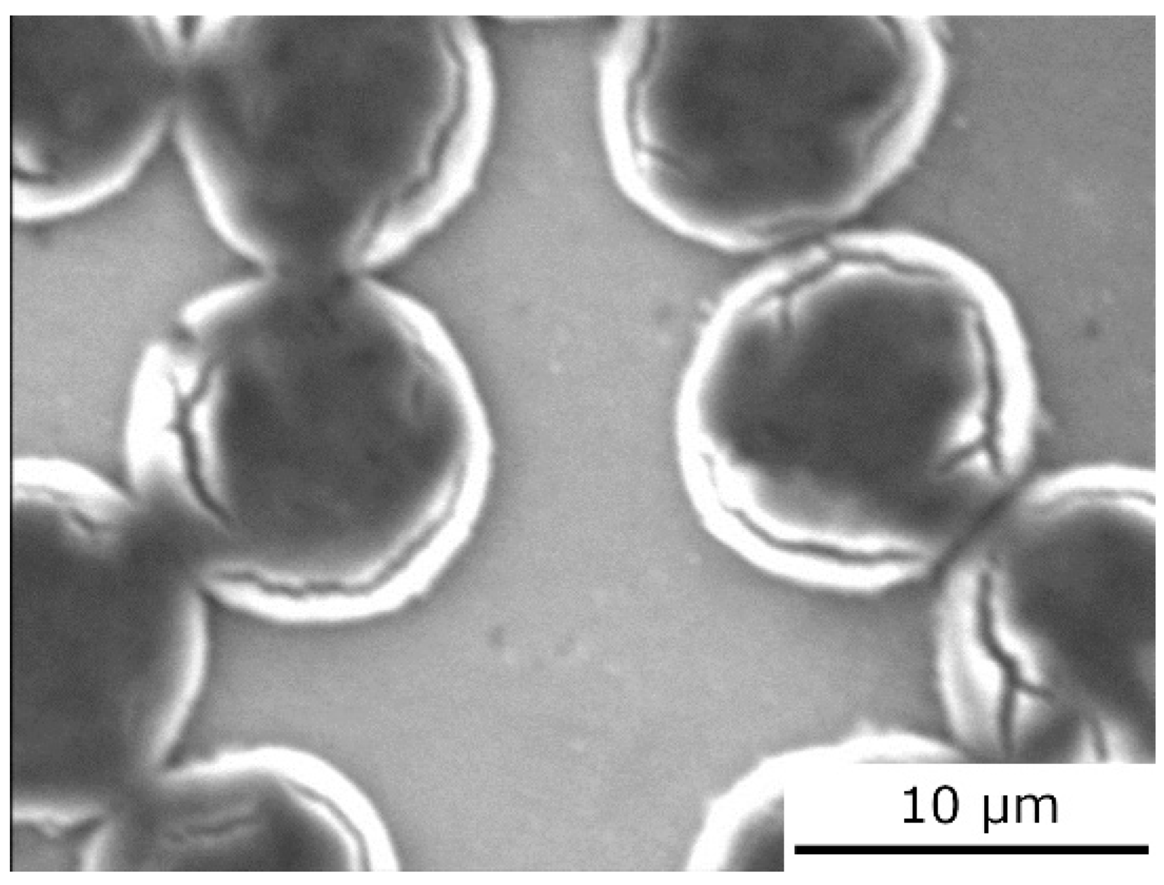 Materials 15 07812 g012