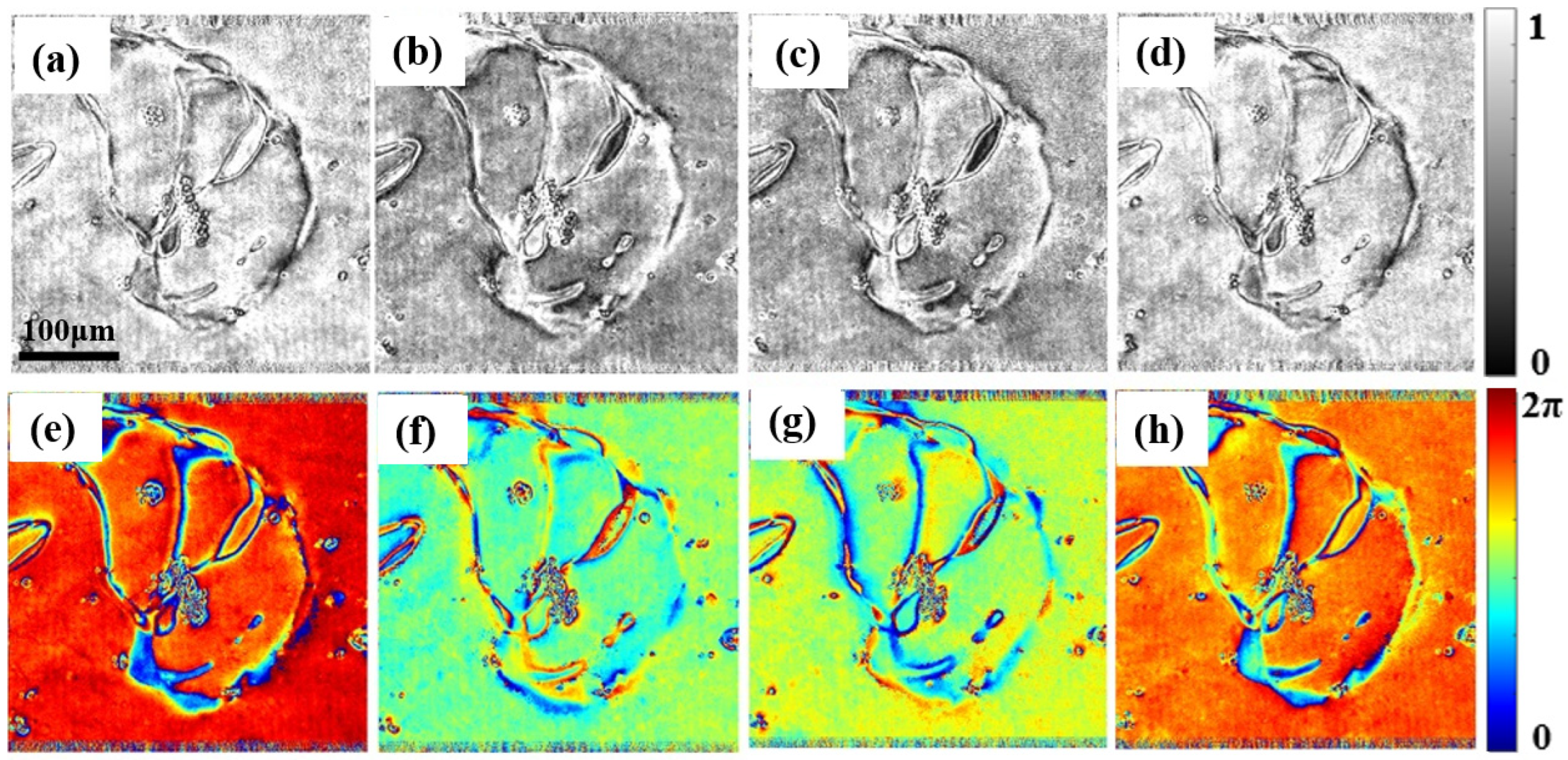 Materials 15 07813 g008 Materials 15 07813 g008