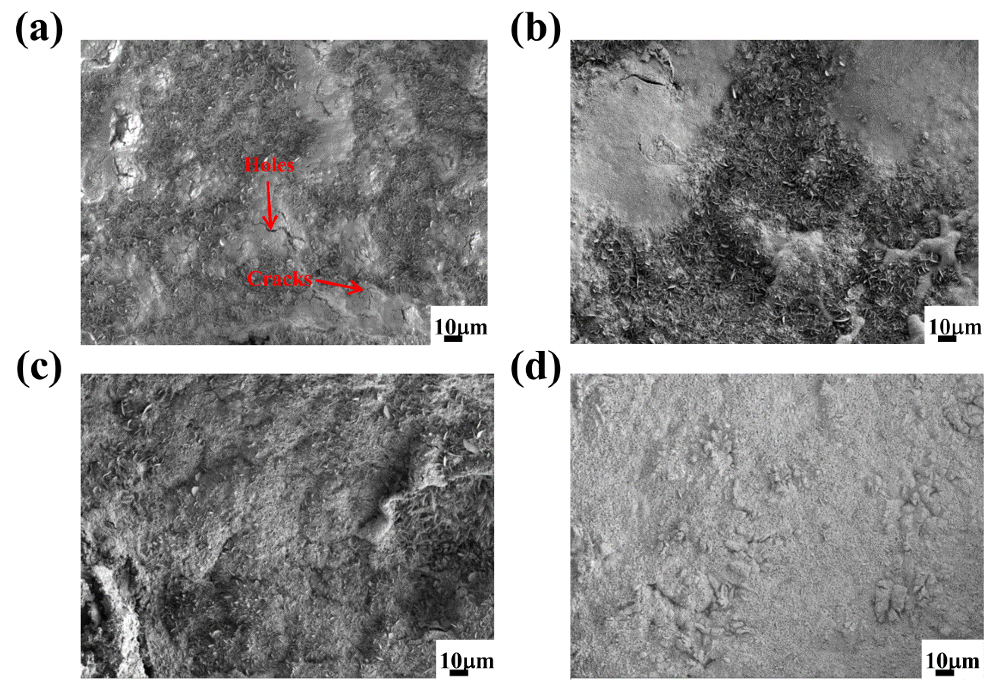 Materials 15 07819 g007