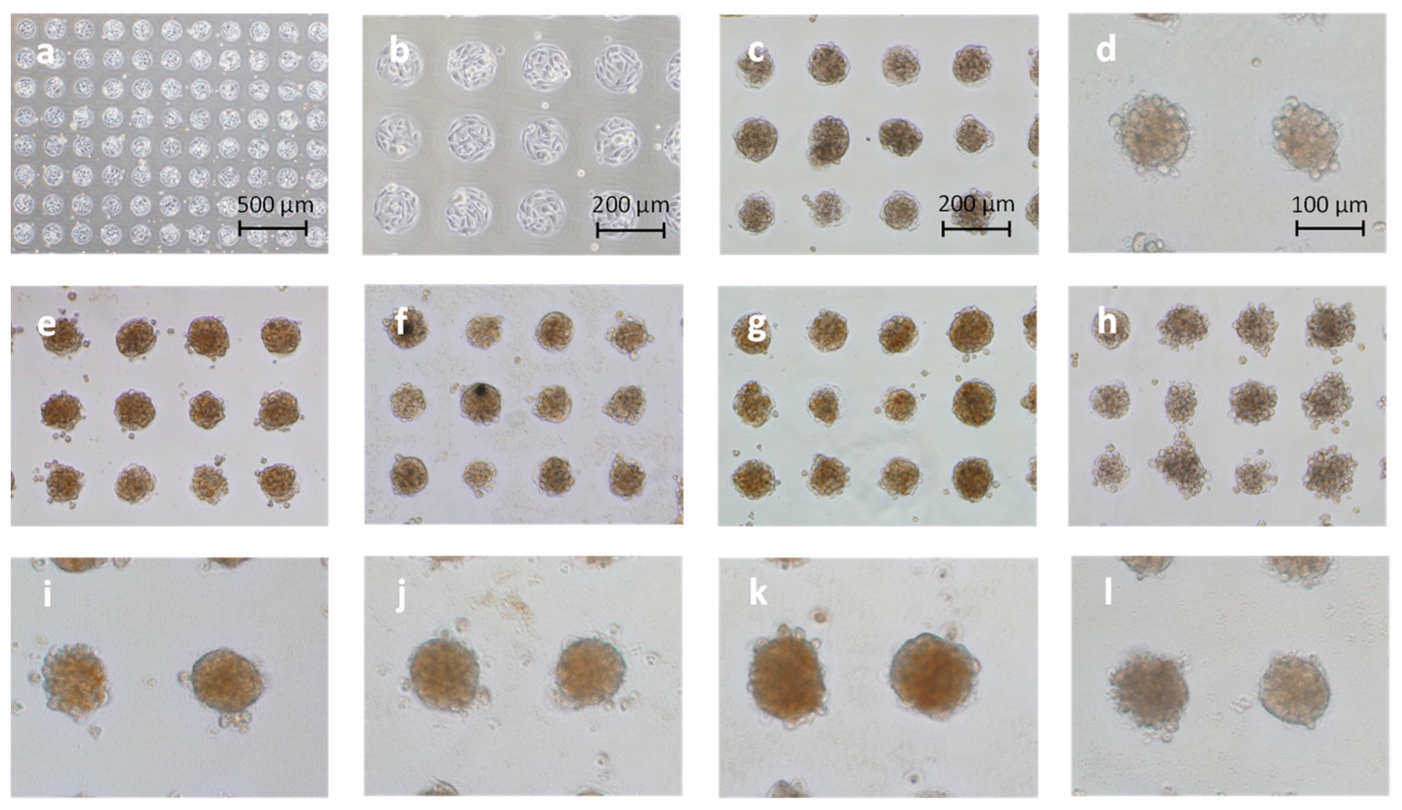 Materials 15 07823 g002 Materials 15 07823 g002