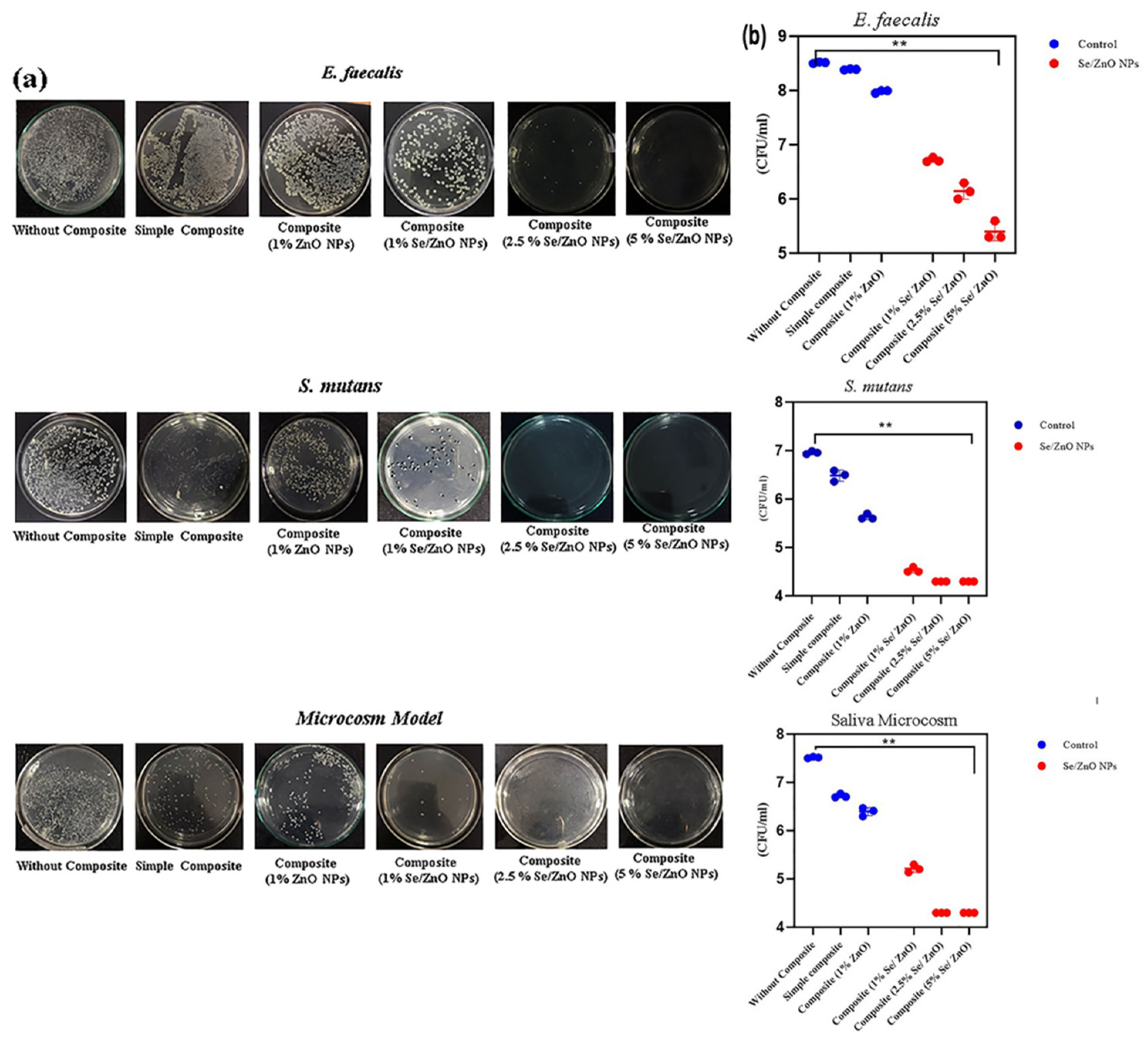 Materials 15 07827 g006
