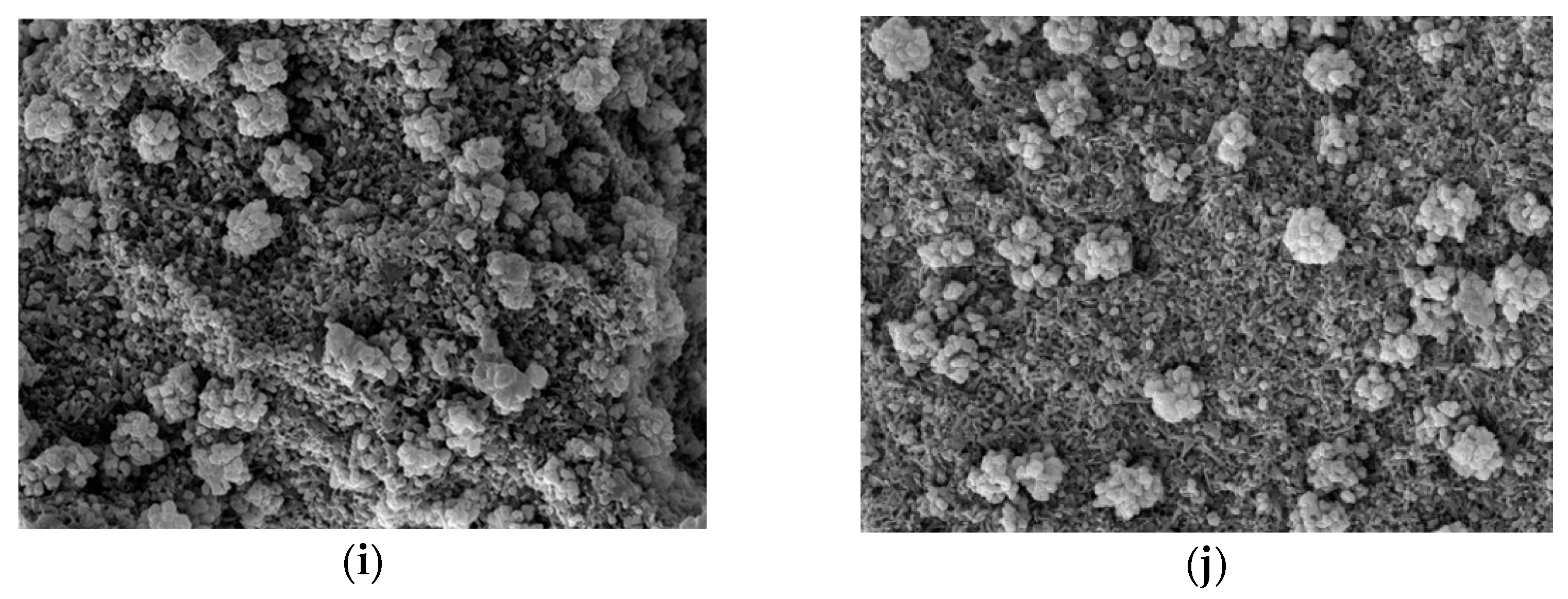 Materials 15 07834 g002b Materials 15 07834 g002b