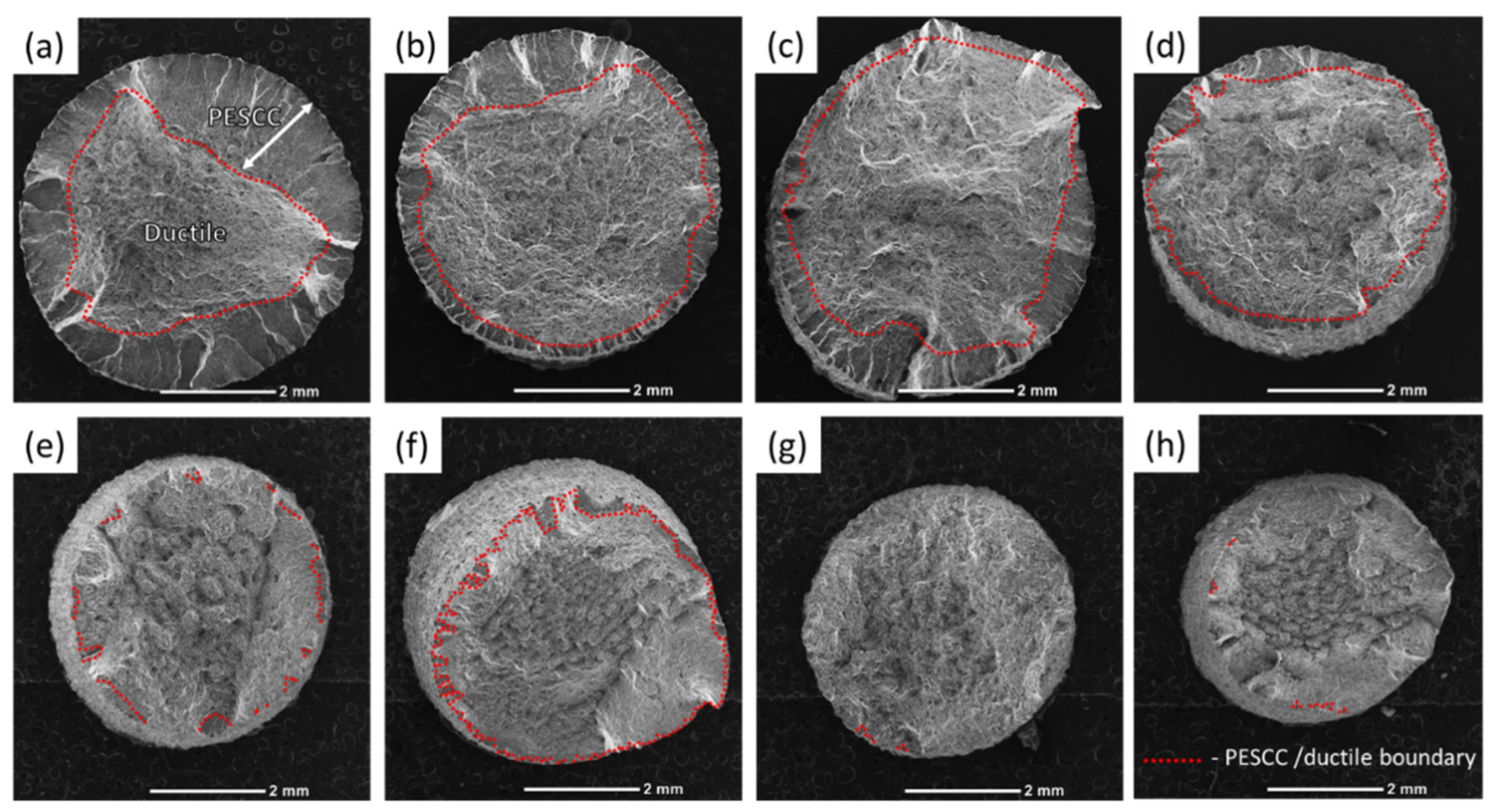 Materials 15 07862 g003