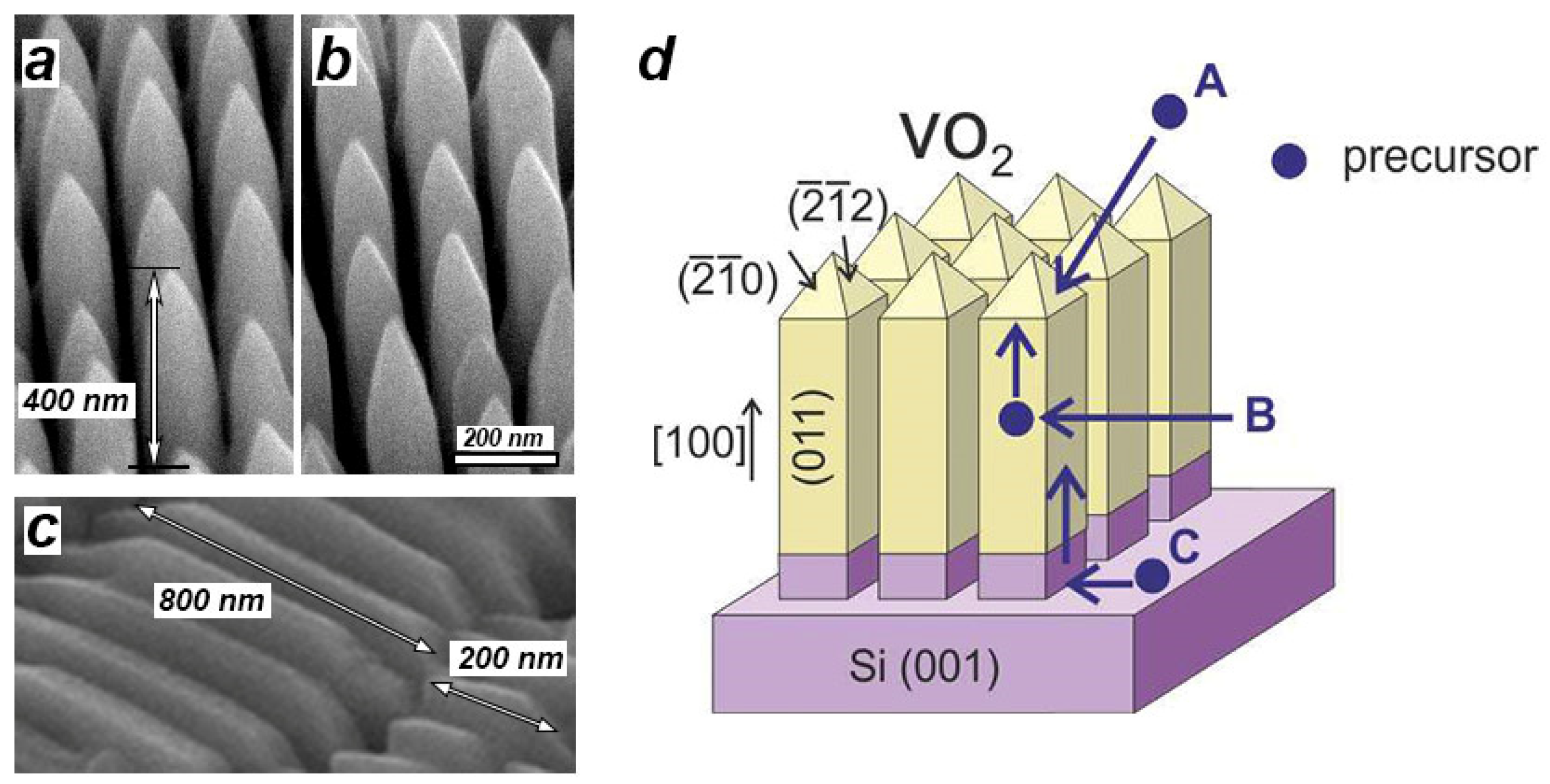 Materials 15 07863 g001