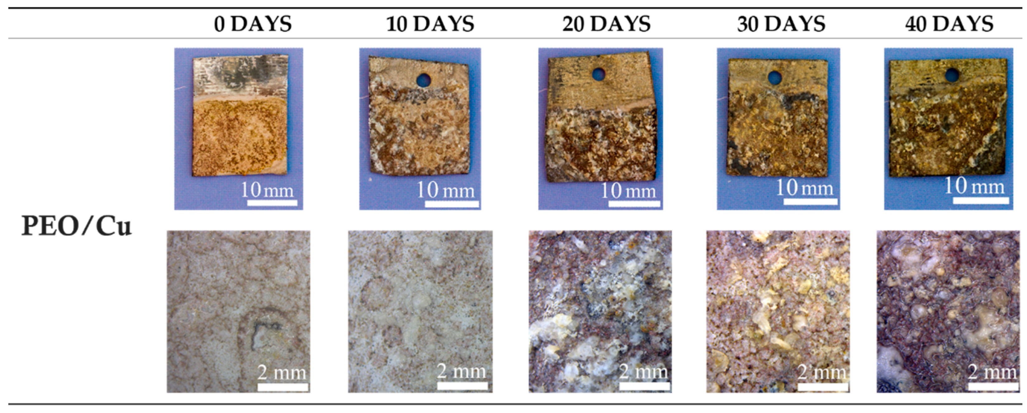 Materials 15 07895 g013 Materials 15 07895 g013