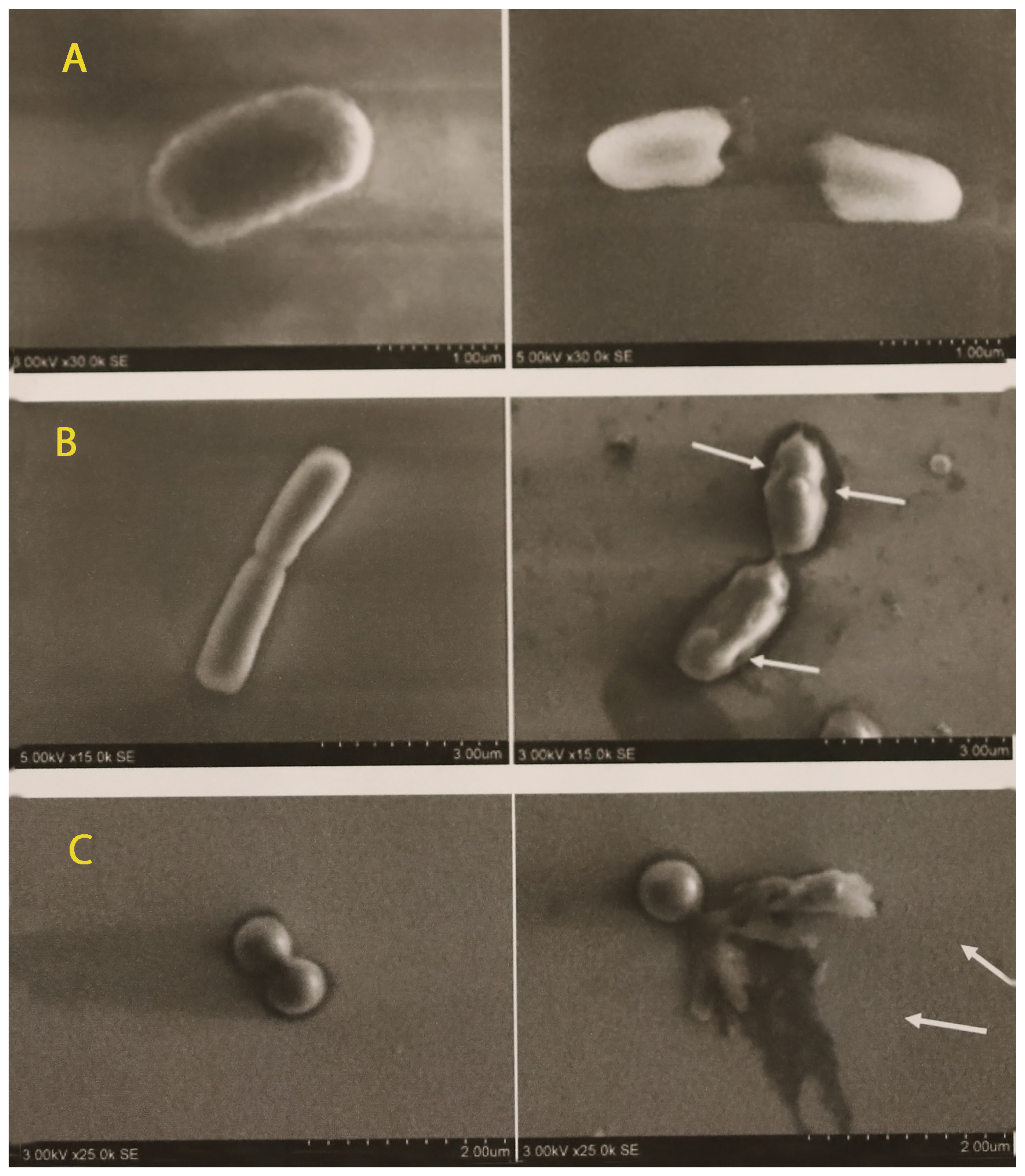 Materials 15 07896 g009