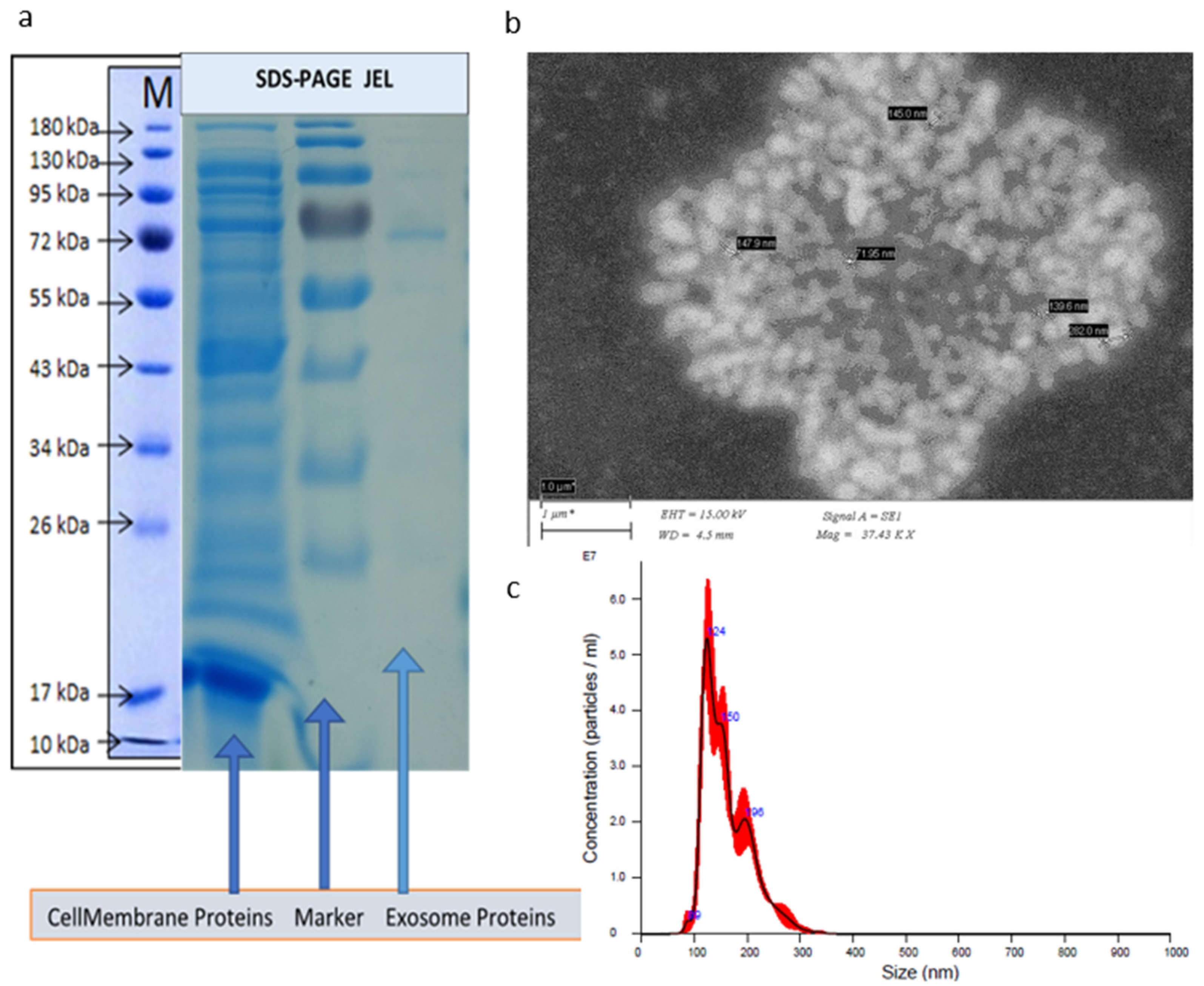 Materials 15 07967 g001