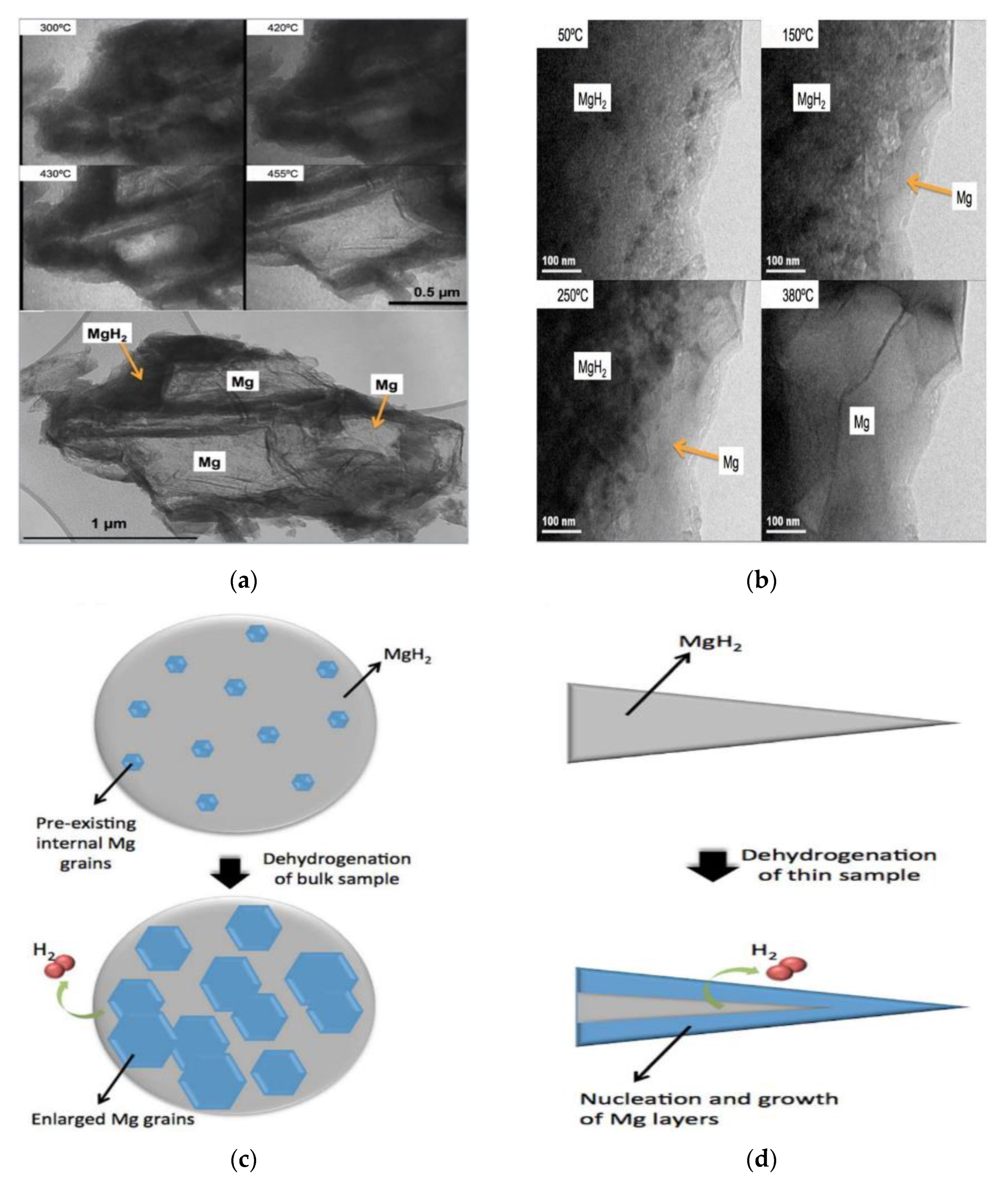 Materials 15 08004 g003 Materials 15 08004 g003