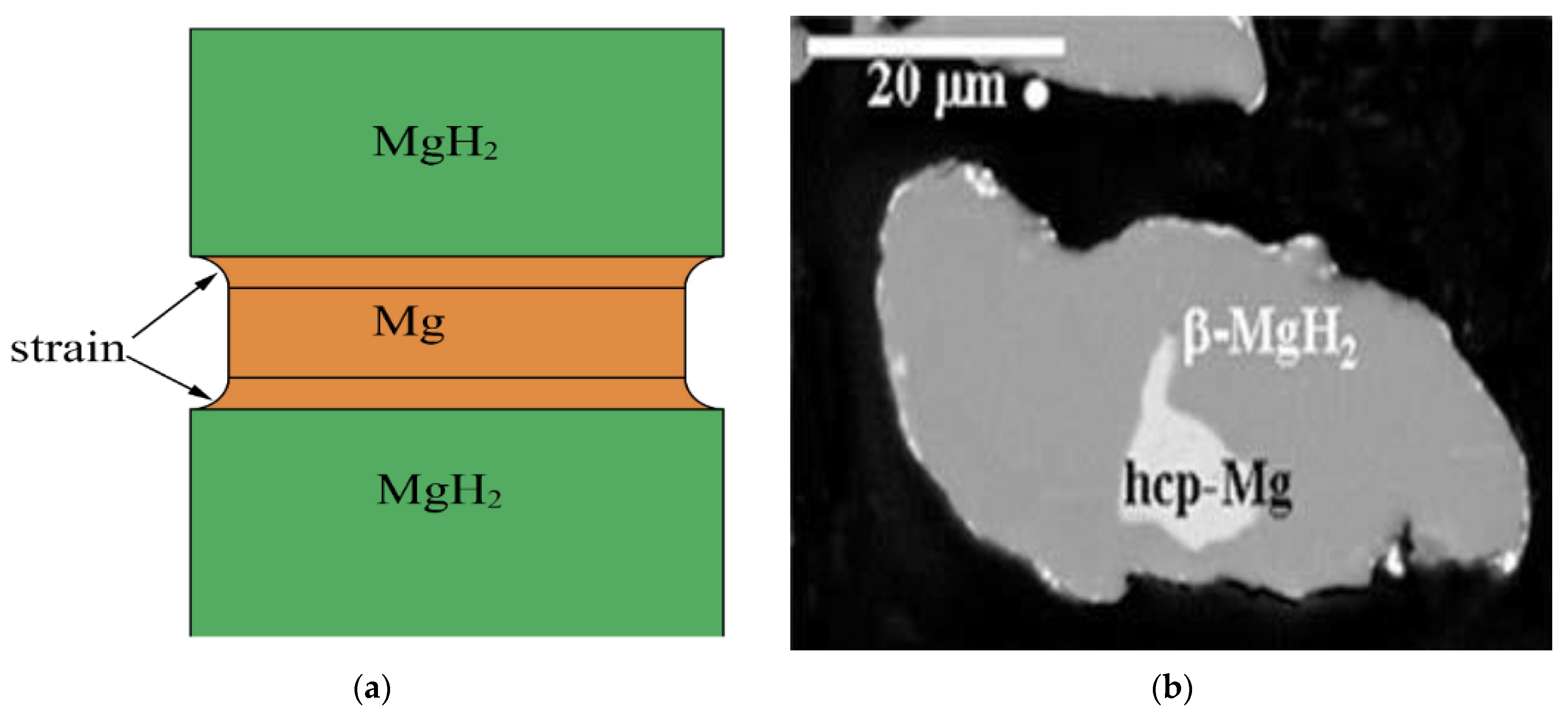 Materials 15 08004 g005 Materials 15 08004 g005