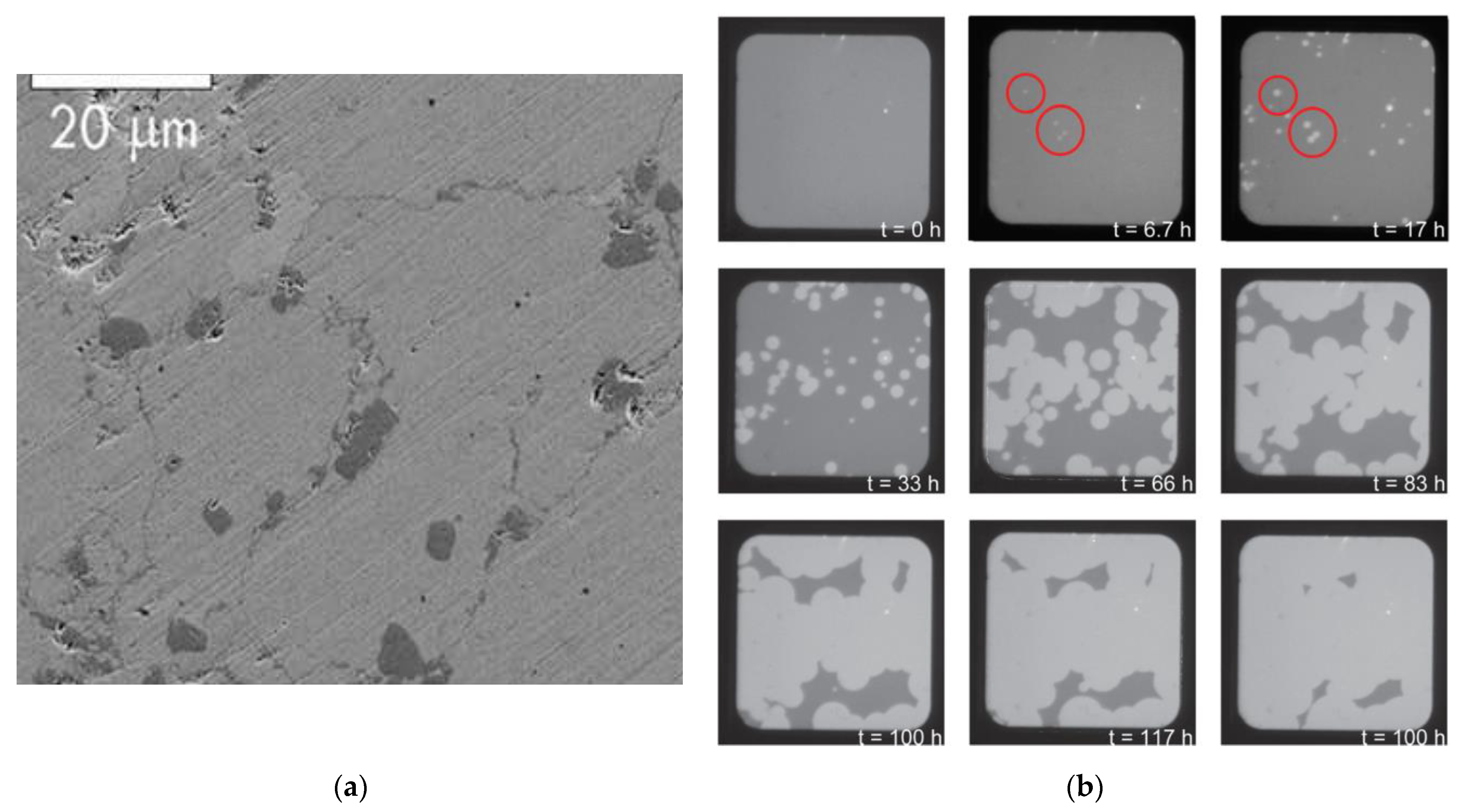Materials 15 08004 g006 Materials 15 08004 g006