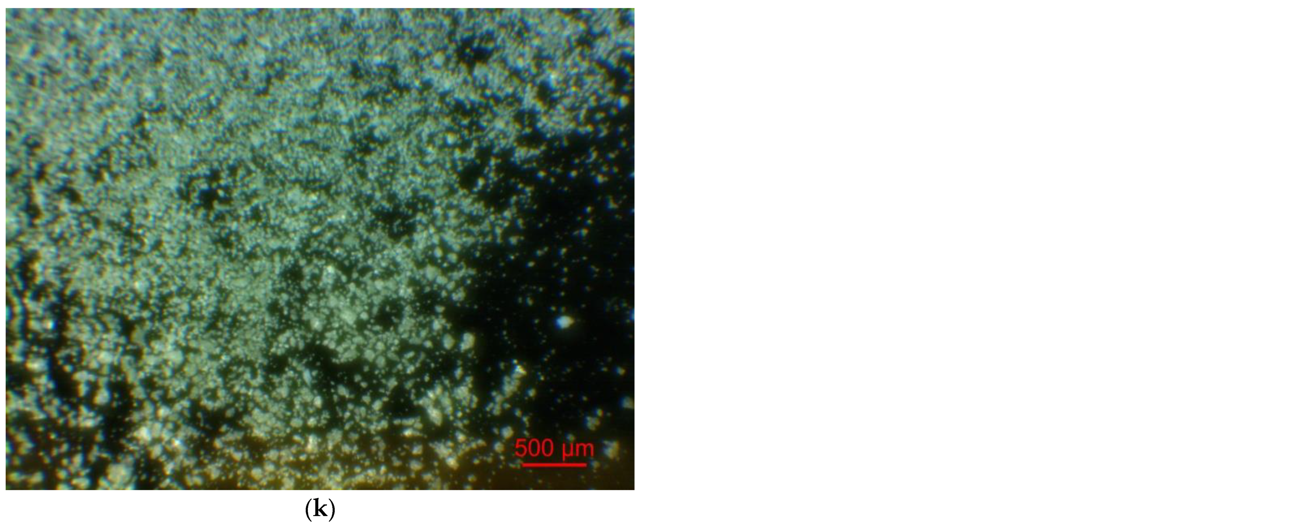 Materials 15 08058 g002c Materials 15 08058 g002c