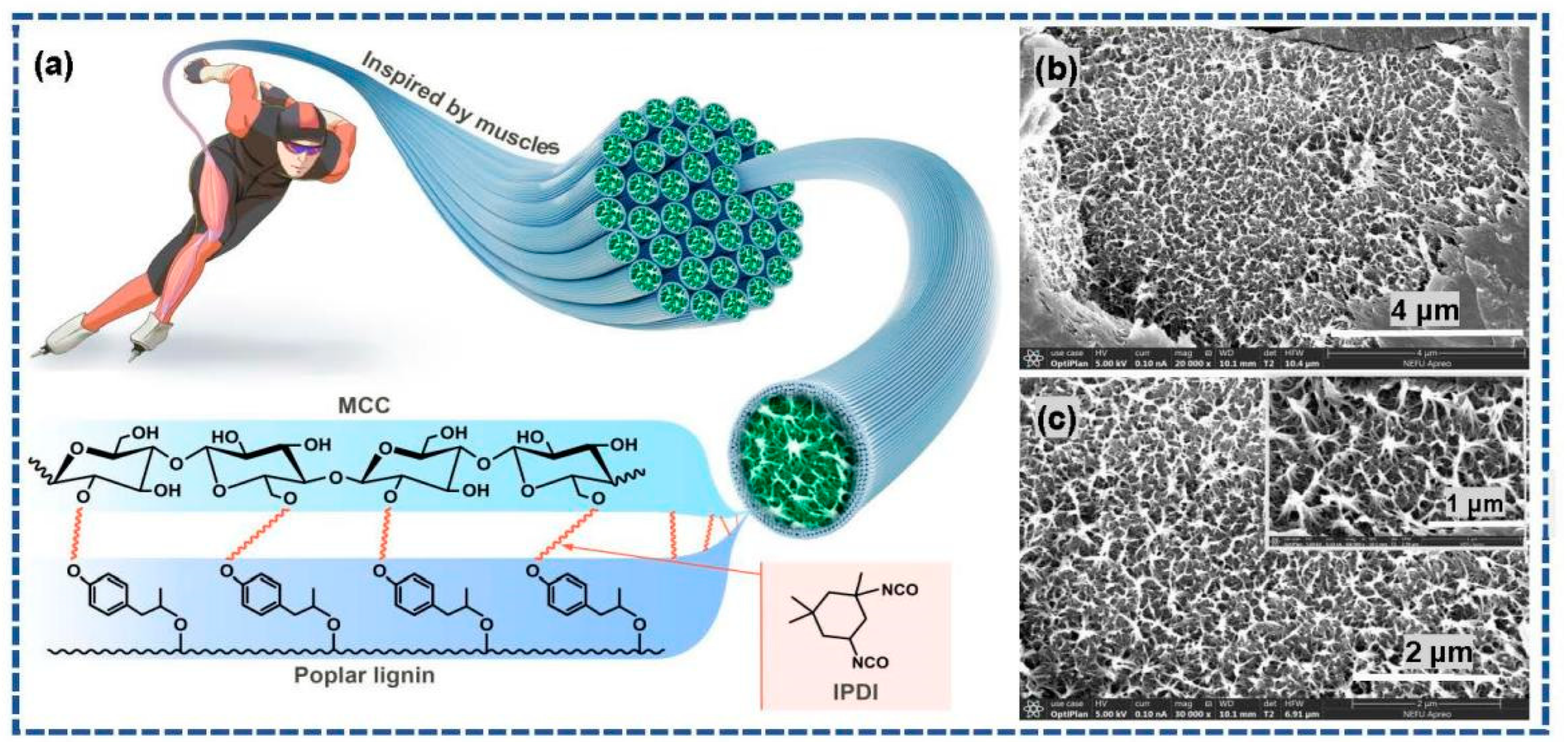 Materials 15 08068 sch002 Materials 15 08068 sch002