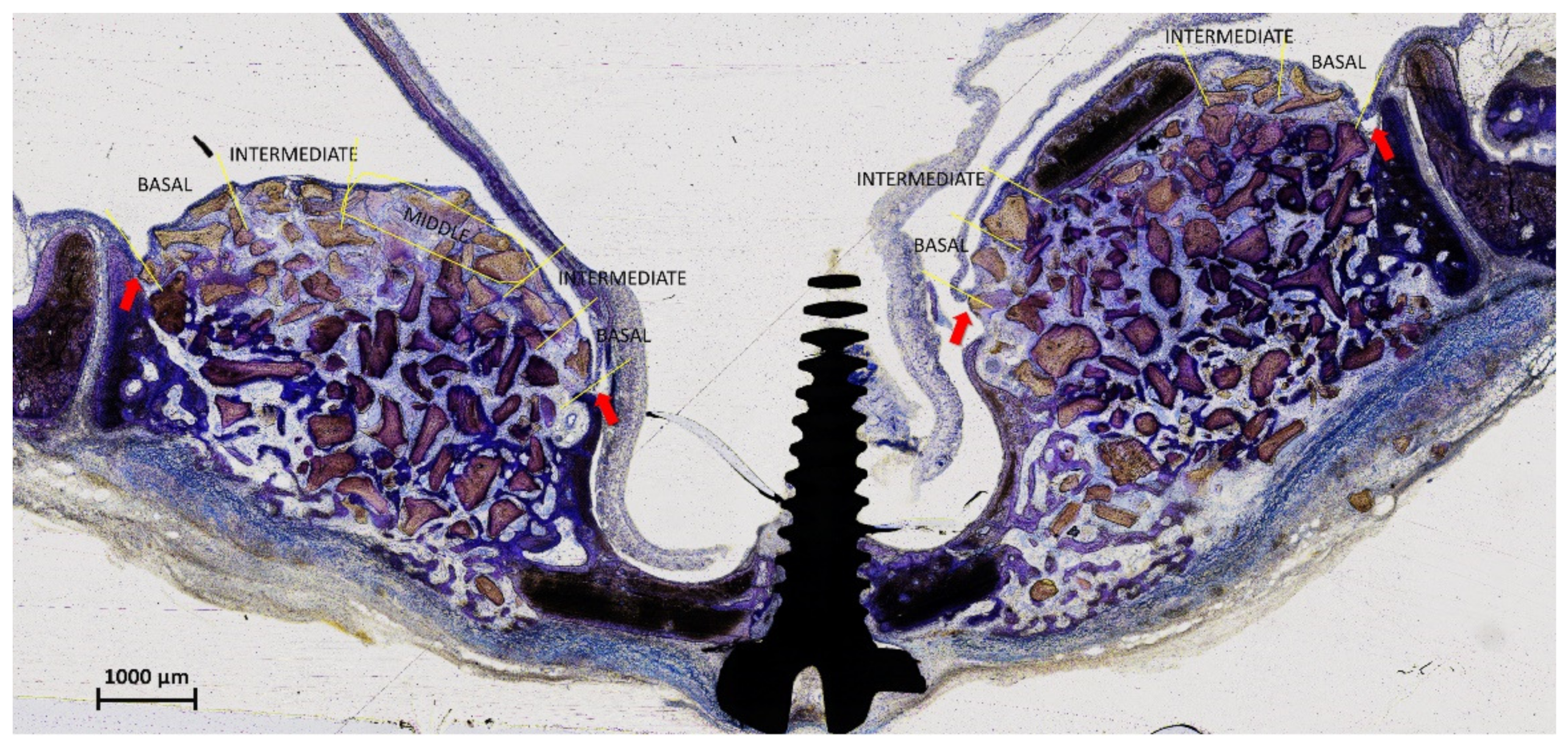Materials 15 08077 g001 Materials 15 08077 g001