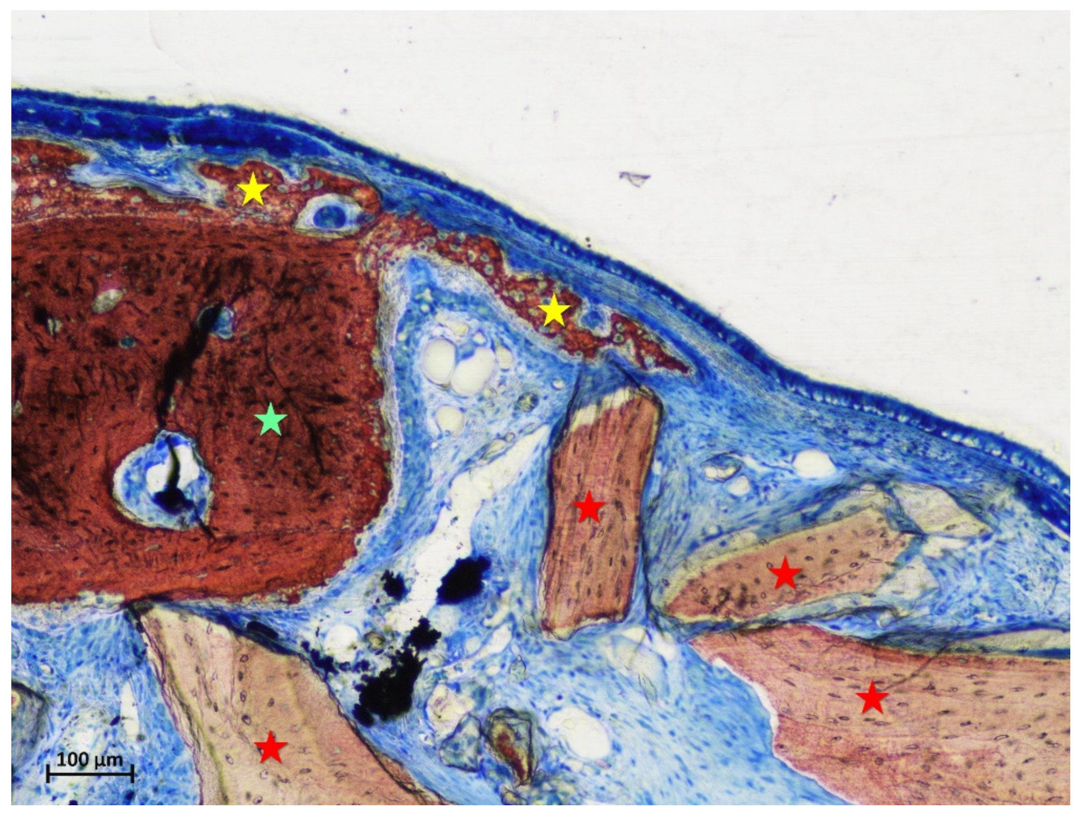 Materials 15 08077 g003 Materials 15 08077 g003