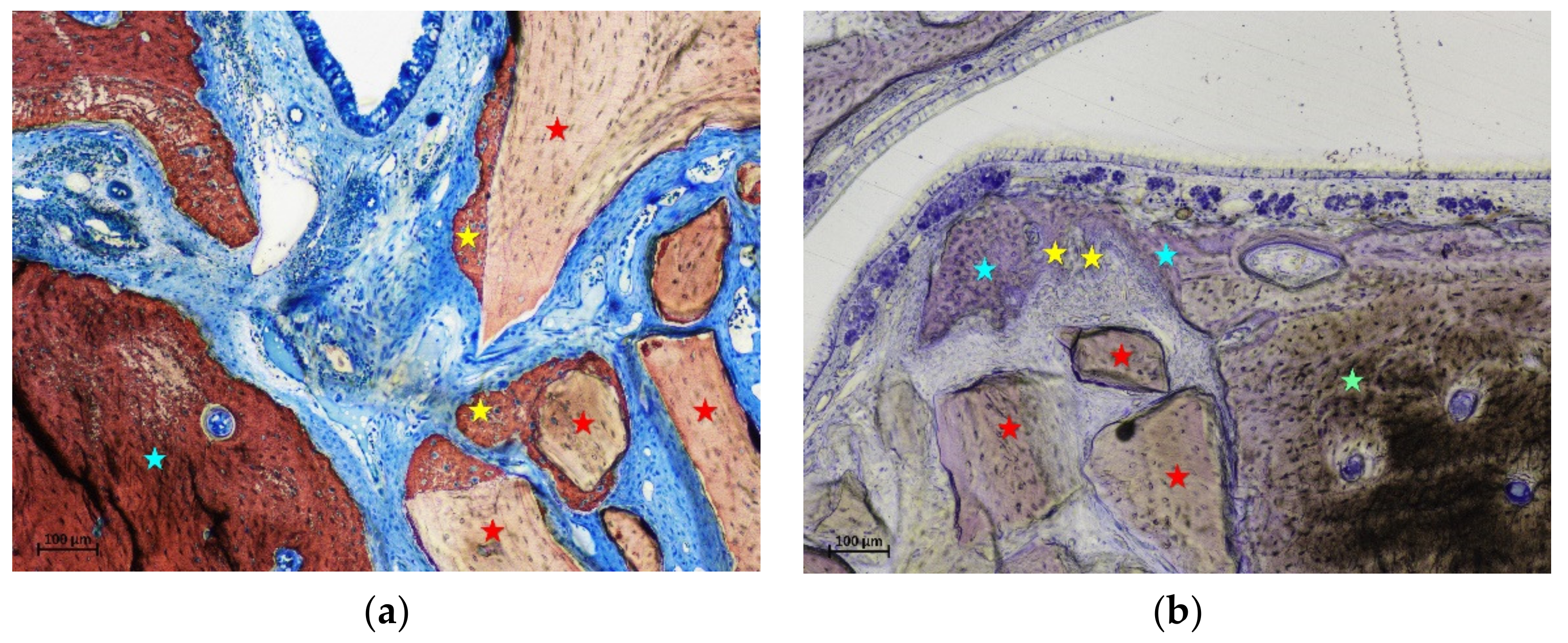 Materials 15 08077 g005 Materials 15 08077 g005