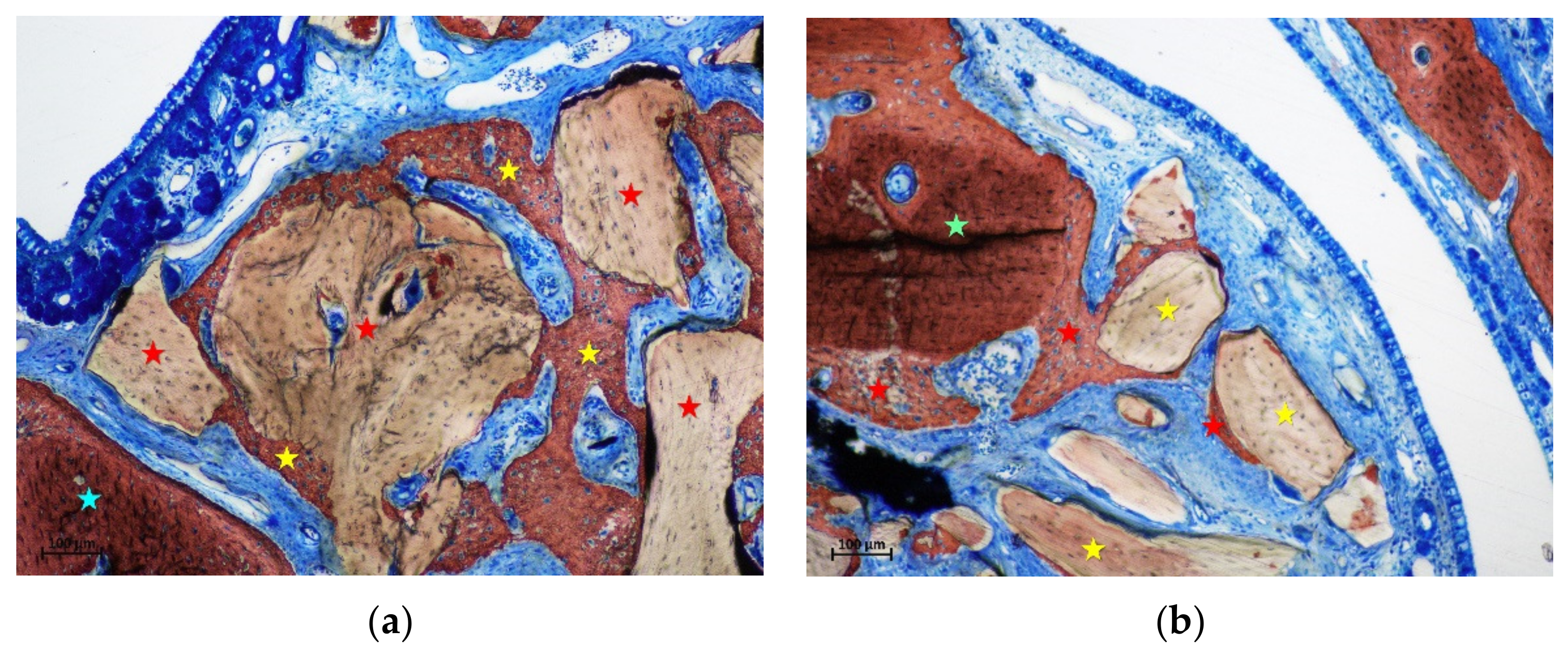 Materials 15 08077 g008 Materials 15 08077 g008